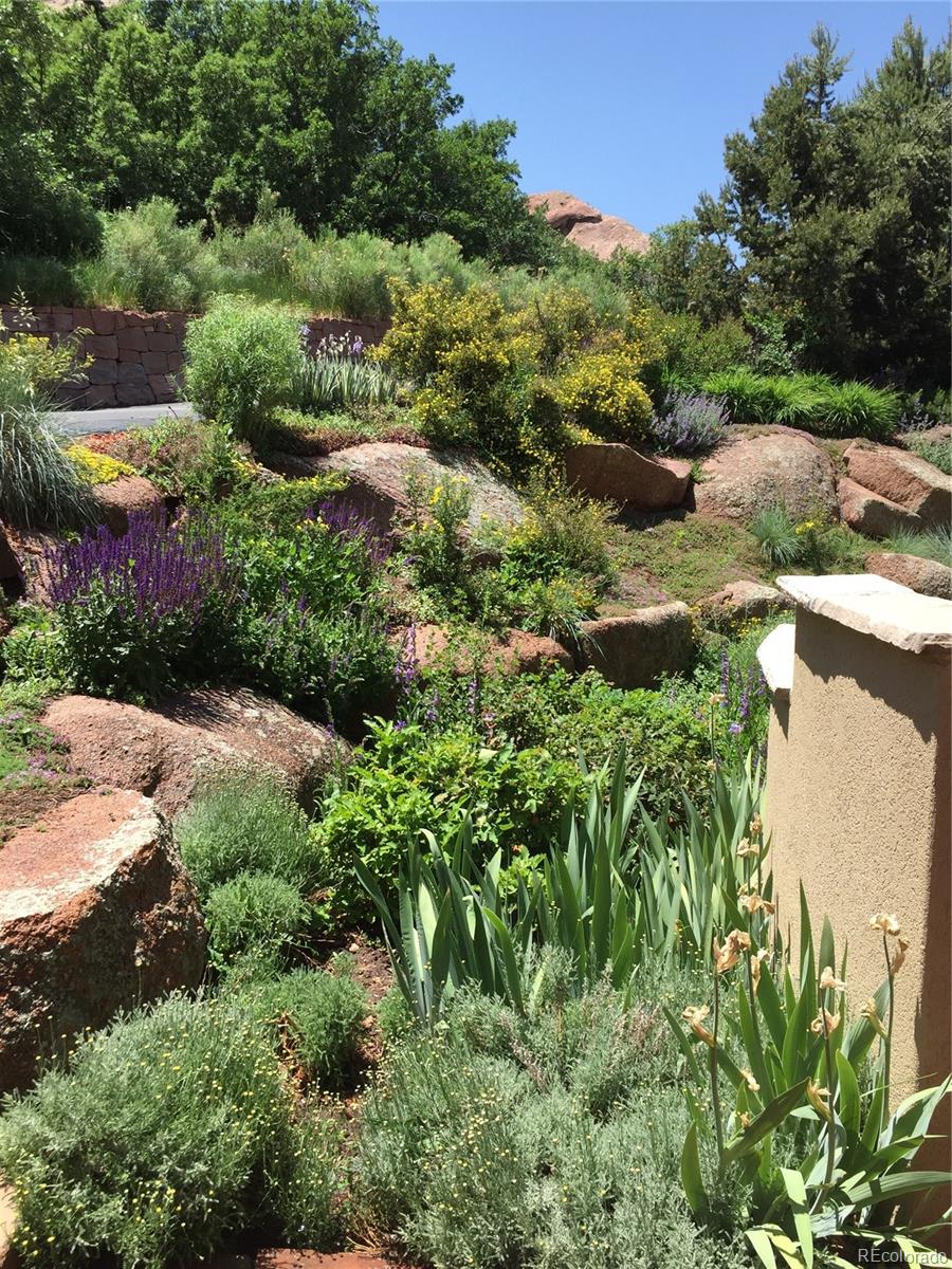 MLS Image #3 for 9193 s buffalo drive,littleton, Colorado