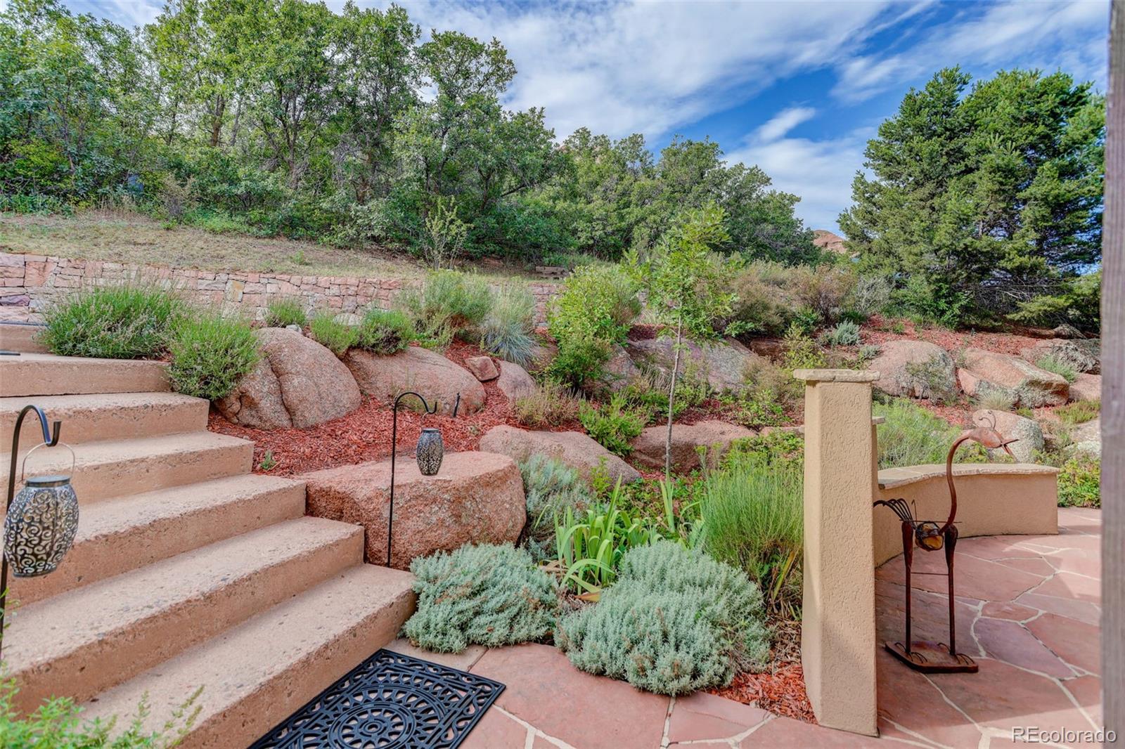 MLS Image #5 for 9193 s buffalo drive,littleton, Colorado