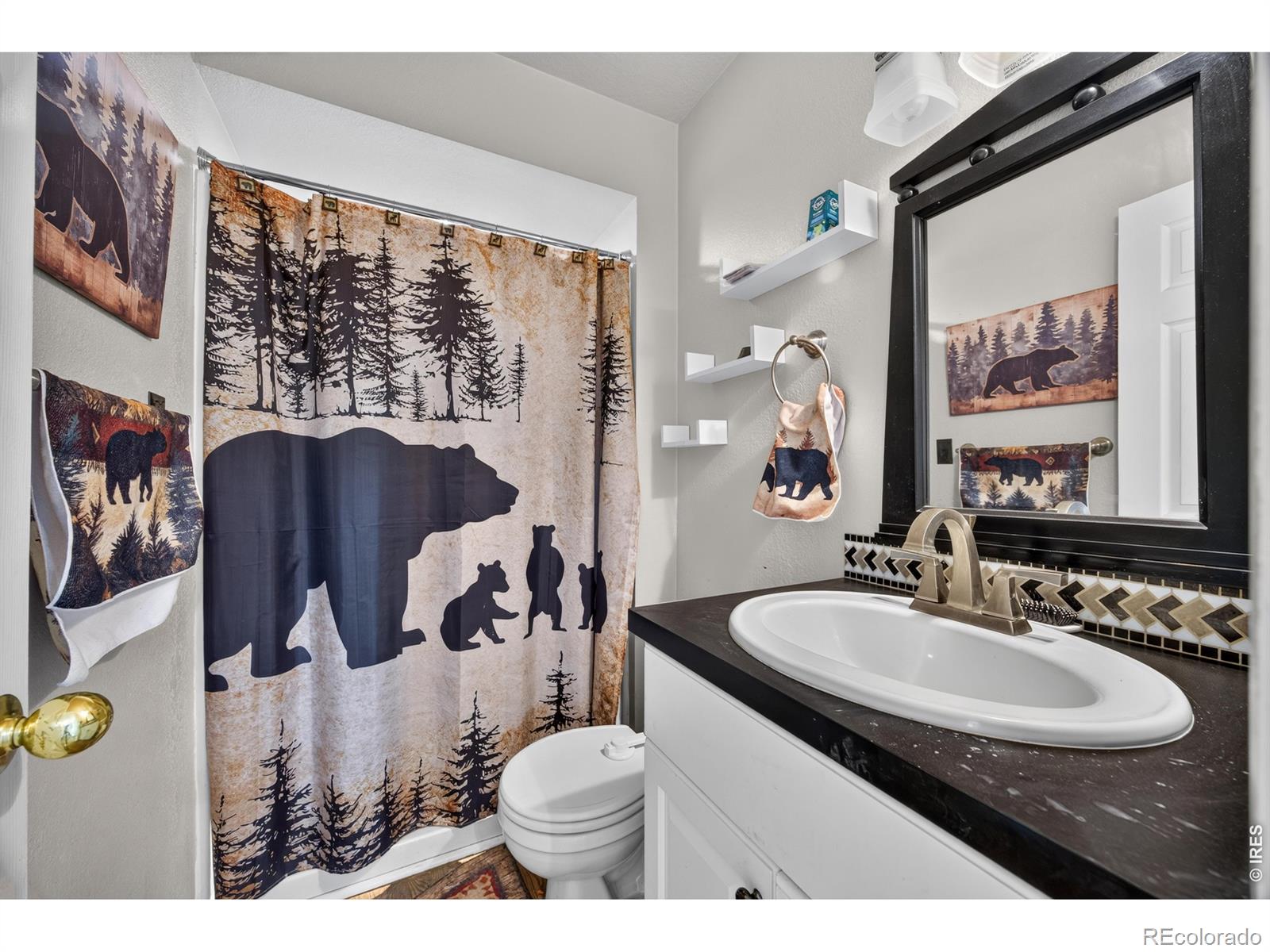 MLS Image #10 for 45  cherry avenue,eaton, Colorado