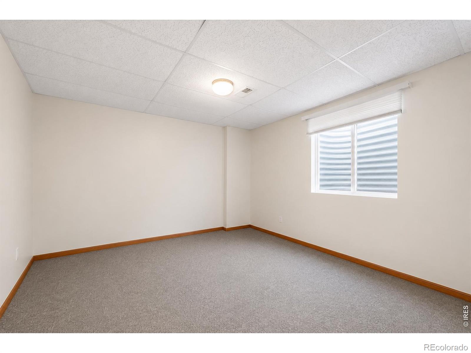MLS Image #23 for 2615  anemonie drive,loveland, Colorado