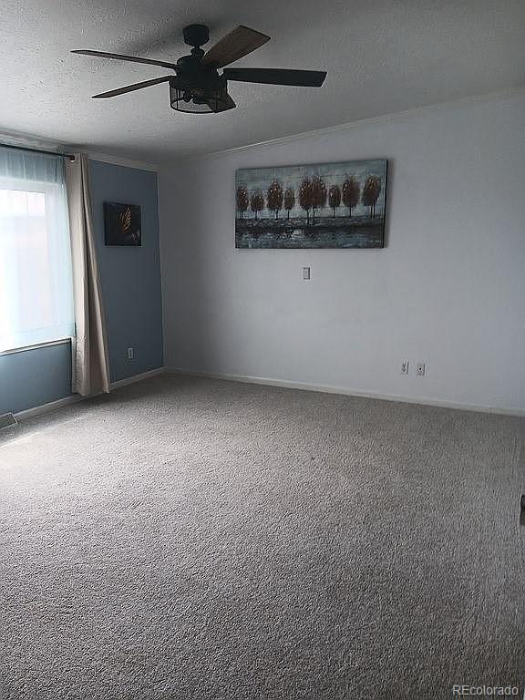 MLS Image #11 for 6559  pickney road,rye, Colorado