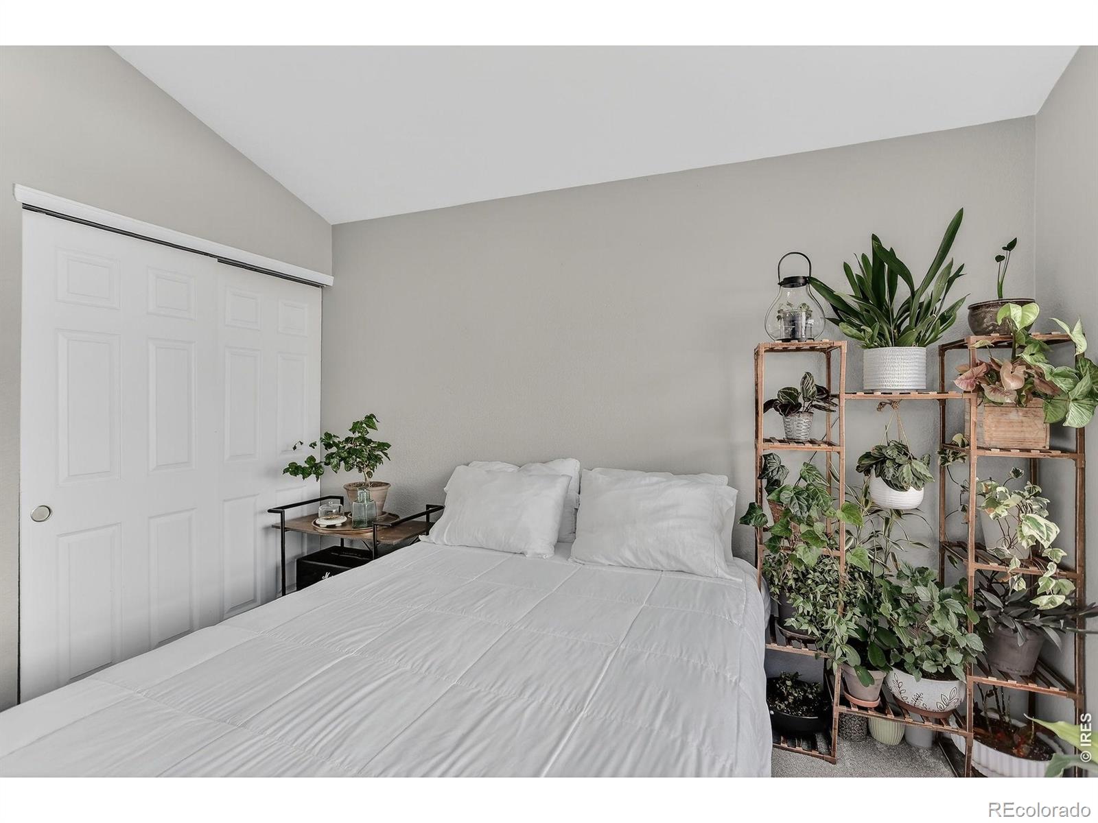 MLS Image #23 for 5225  white willow drive,fort collins, Colorado