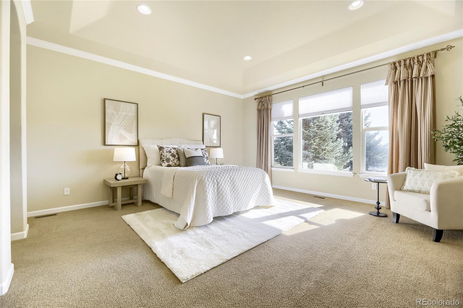 MLS Image #13 for 12132  elton way,parker, Colorado