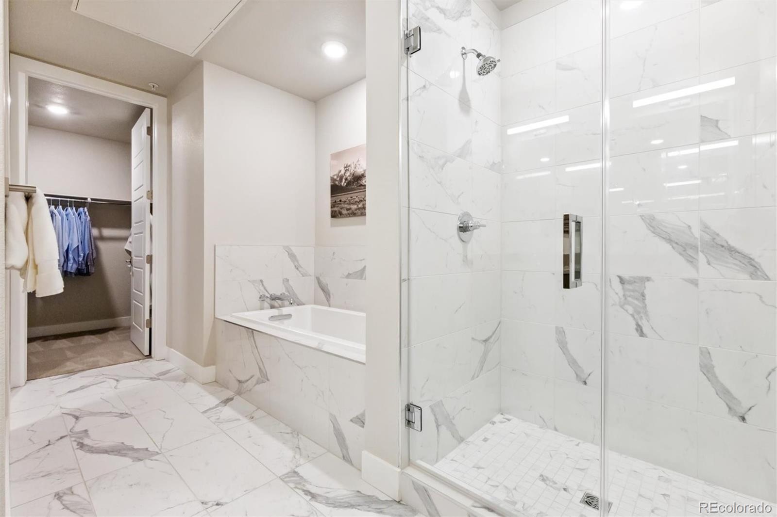 MLS Image #5 for 20  wilcox street,castle rock, Colorado