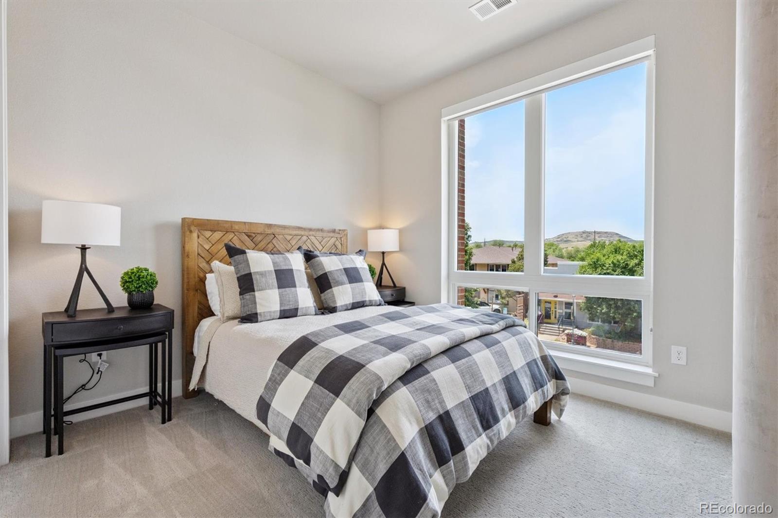 MLS Image #7 for 20  wilcox street,castle rock, Colorado