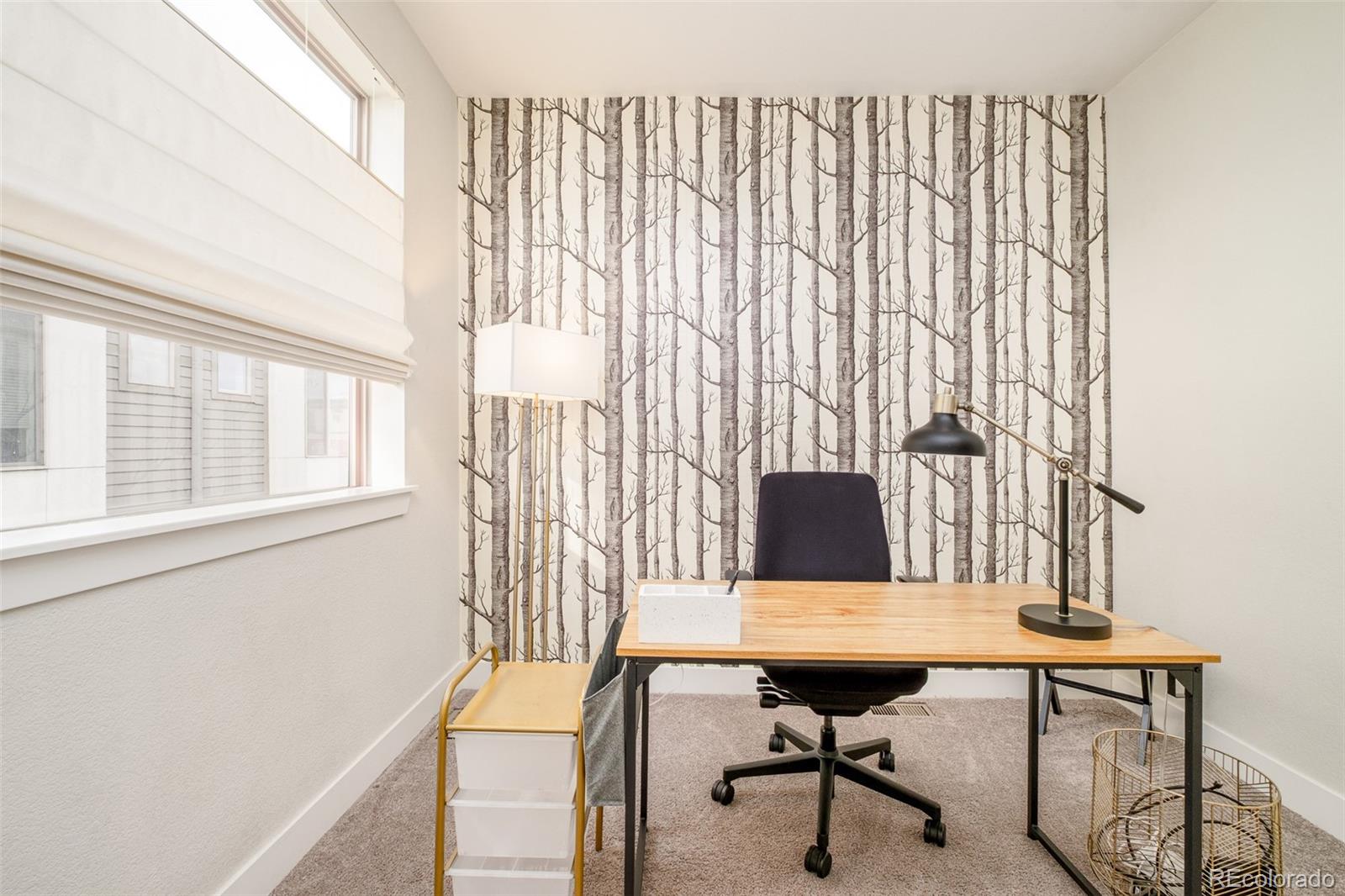 MLS Image #19 for 2110  decatur street ,denver, Colorado