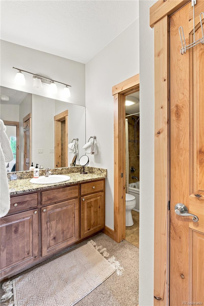 MLS Image #23 for 120 e la bonte street,dillon, Colorado