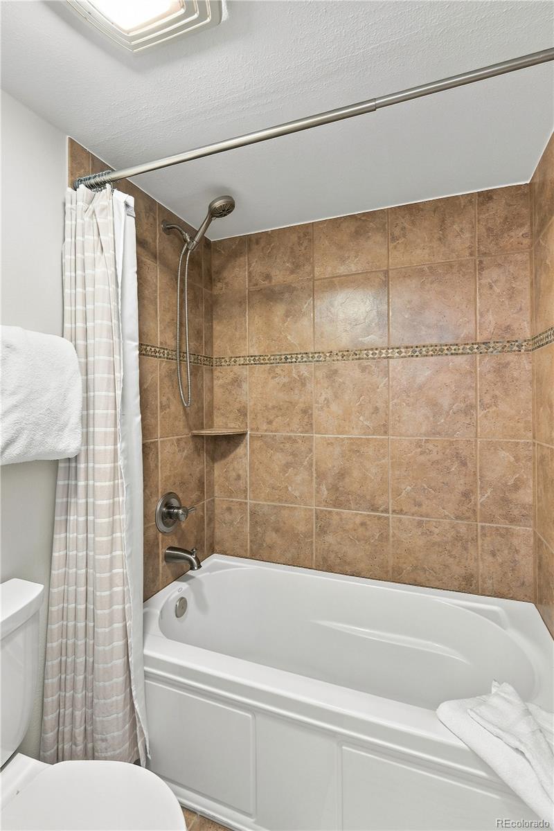 MLS Image #24 for 120 e la bonte street,dillon, Colorado