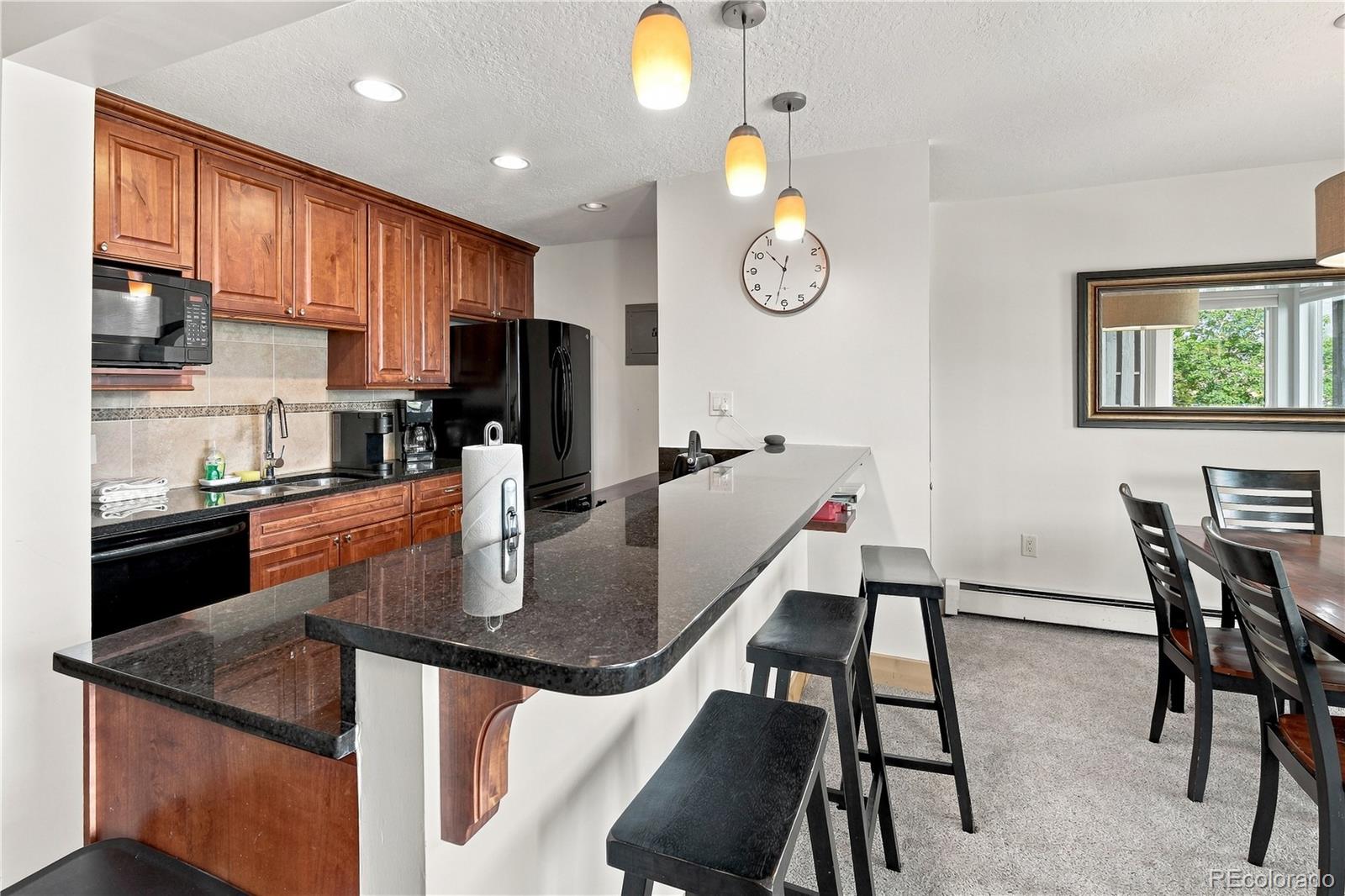 MLS Image #5 for 120 e la bonte street,dillon, Colorado