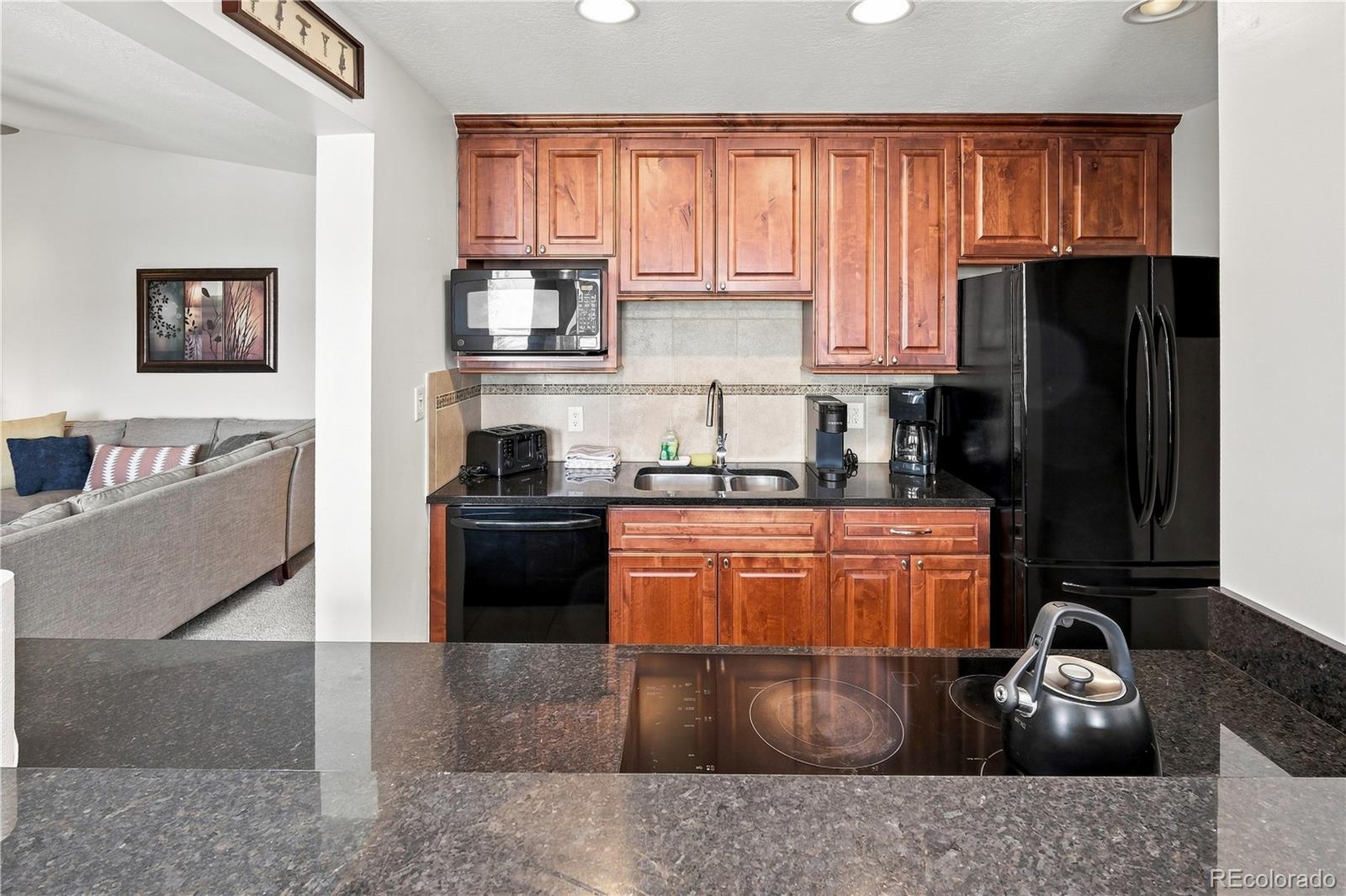 MLS Image #7 for 120 e la bonte street,dillon, Colorado