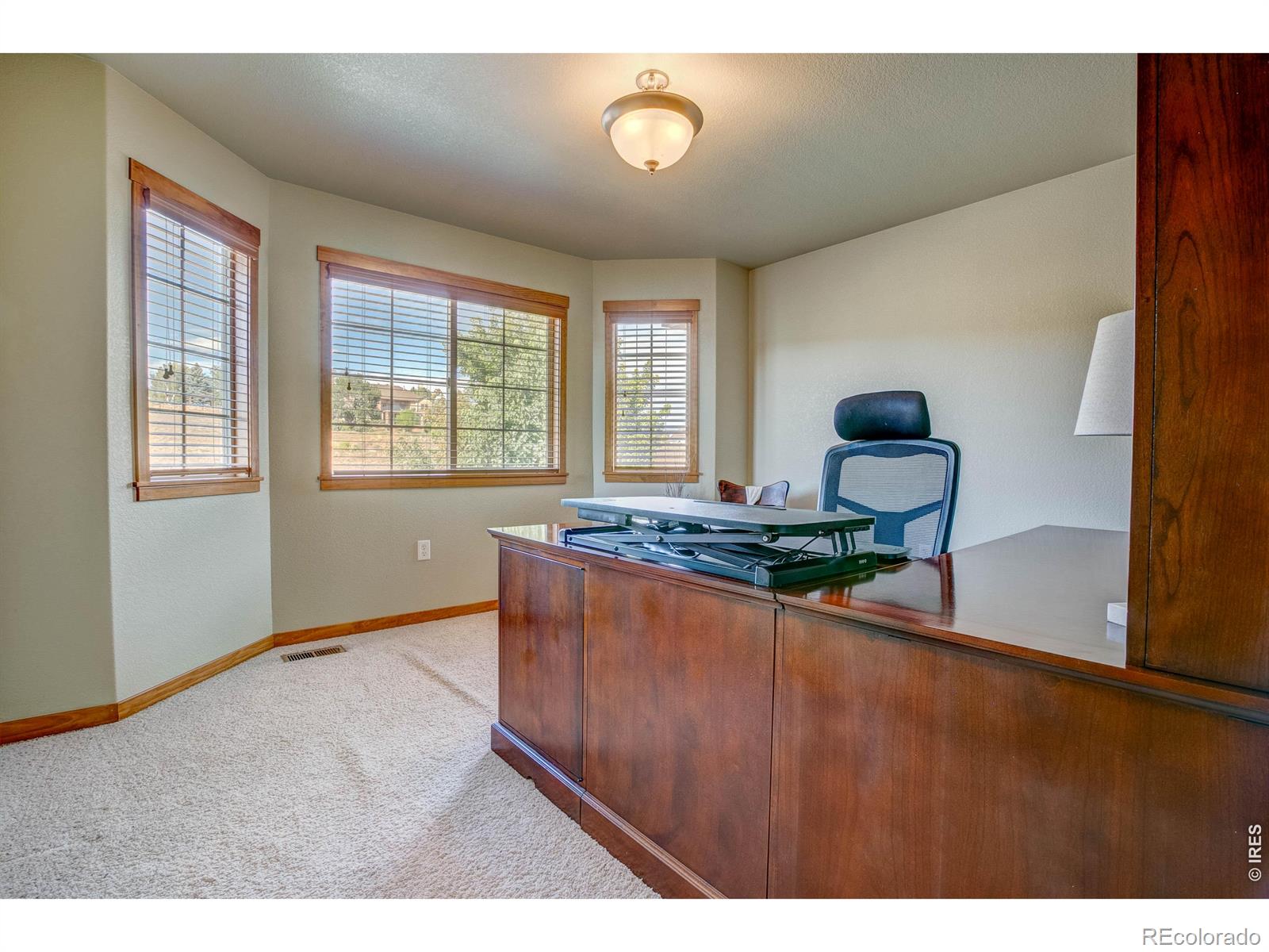 MLS Image #28 for 1747  dolores river drive,windsor, Colorado