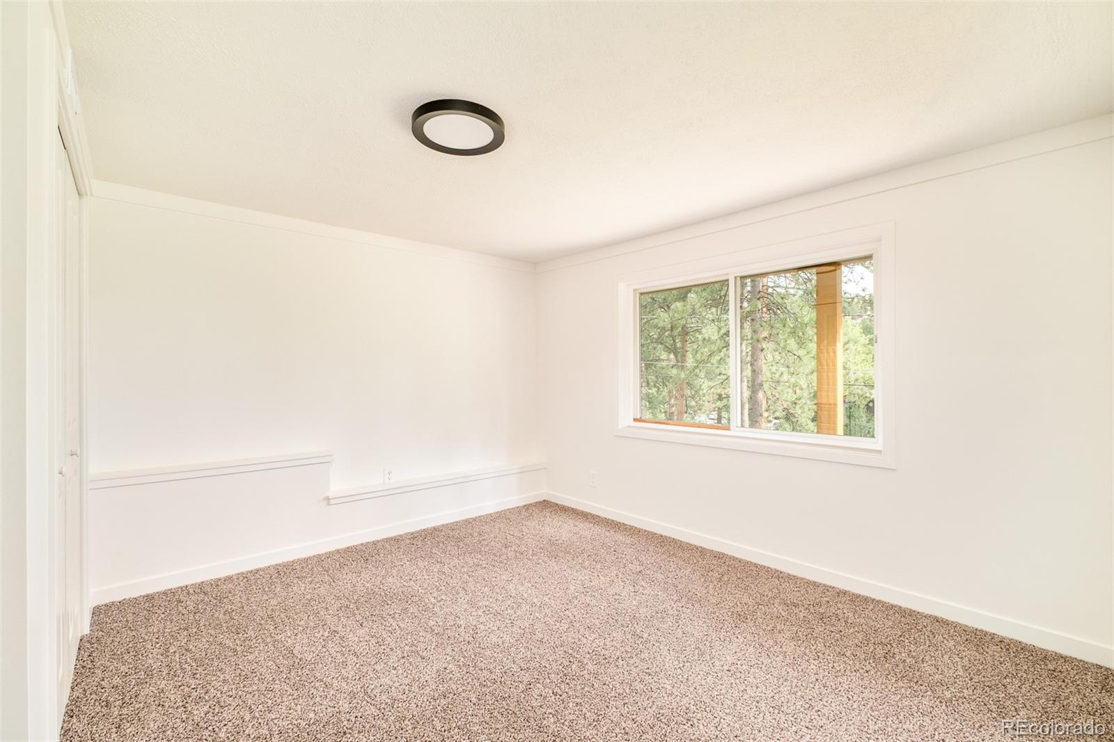 MLS Image #22 for 28359  pine drive,evergreen, Colorado