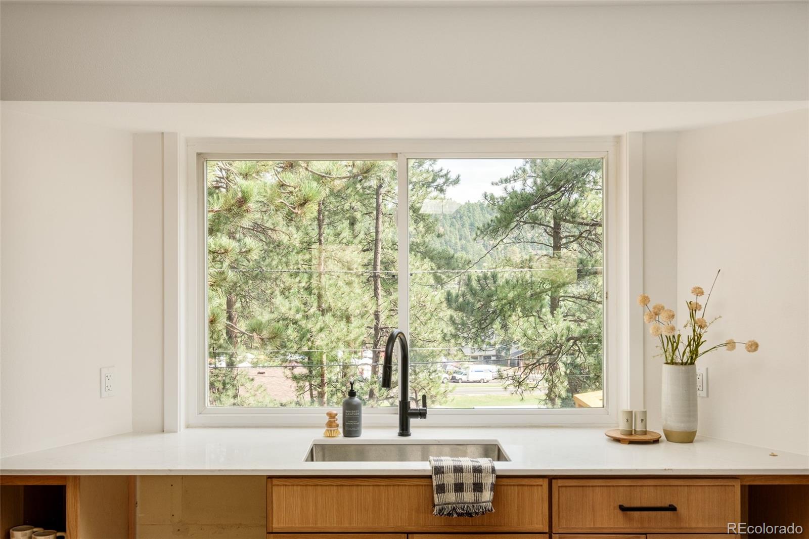 MLS Image #7 for 28359  pine drive,evergreen, Colorado