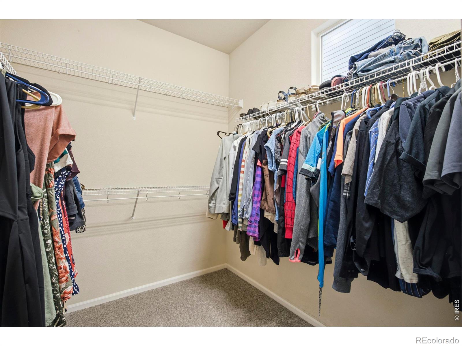 MLS Image #17 for 3608  observatory drive,fort collins, Colorado