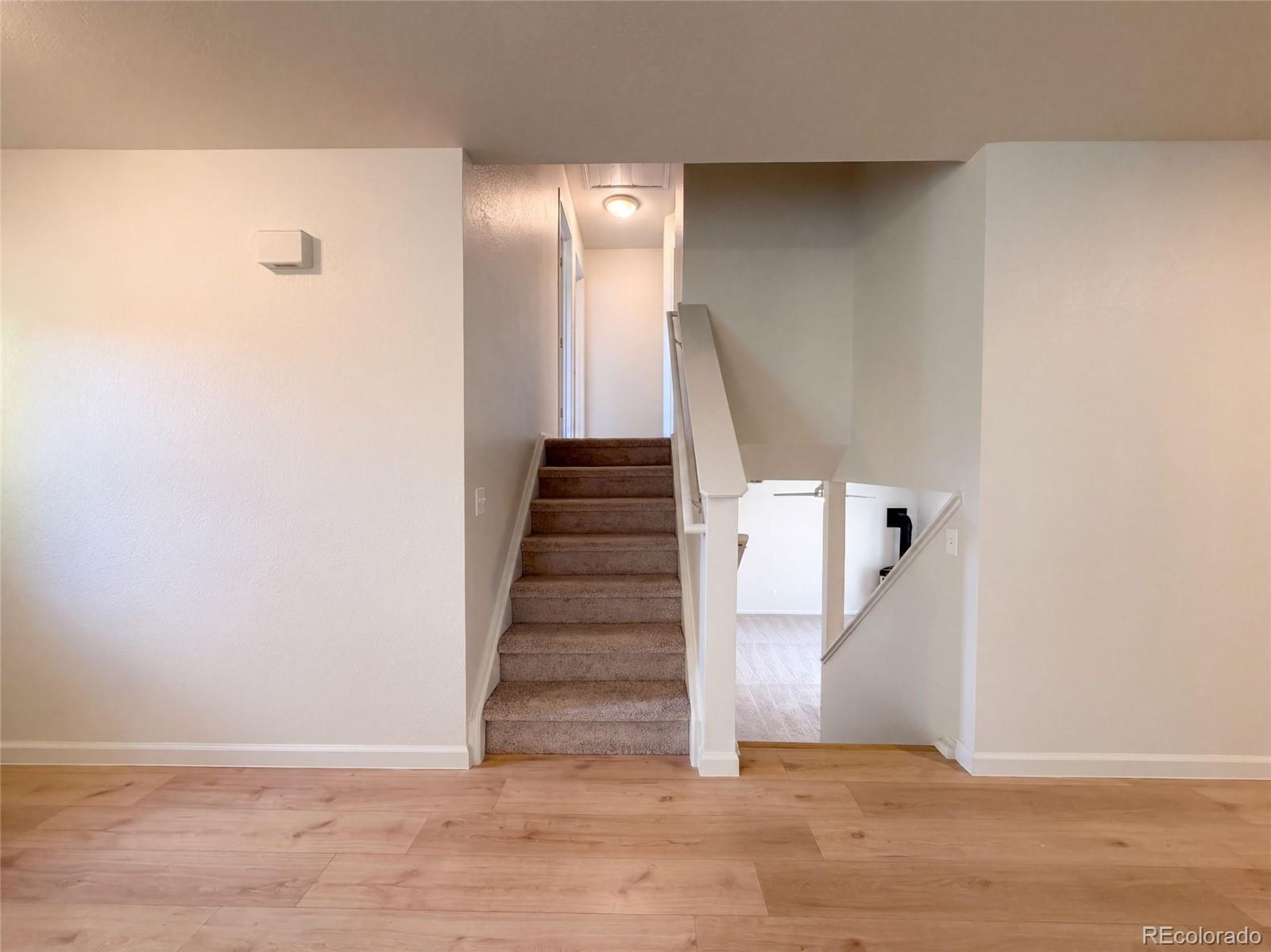 MLS Image #8 for 2924  bow line place,longmont, Colorado