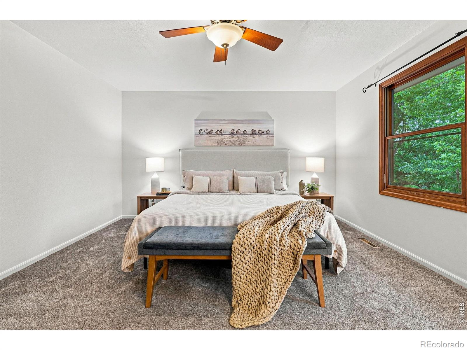 MLS Image #14 for 7356  dry creek road,niwot, Colorado