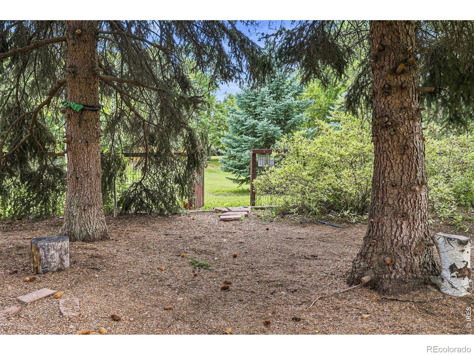 MLS Image #39 for 7356  dry creek road,niwot, Colorado