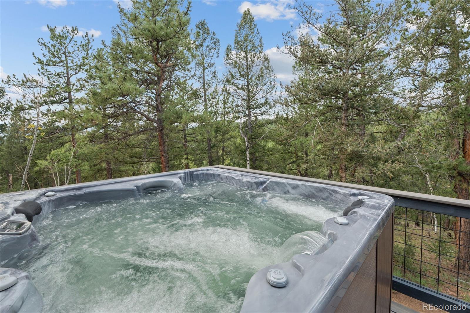 MLS Image #17 for 265  blue spruce drive,pine, Colorado