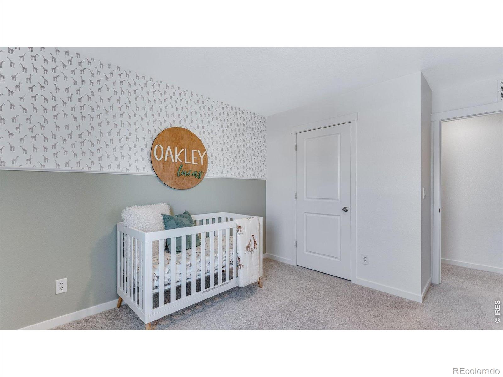 MLS Image #23 for 1008  annelles pool lane,severance, Colorado