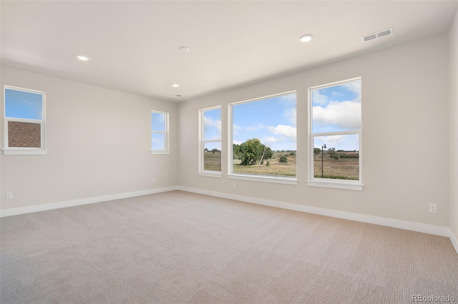 MLS Image #10 for 1284  weller street,timnath, Colorado