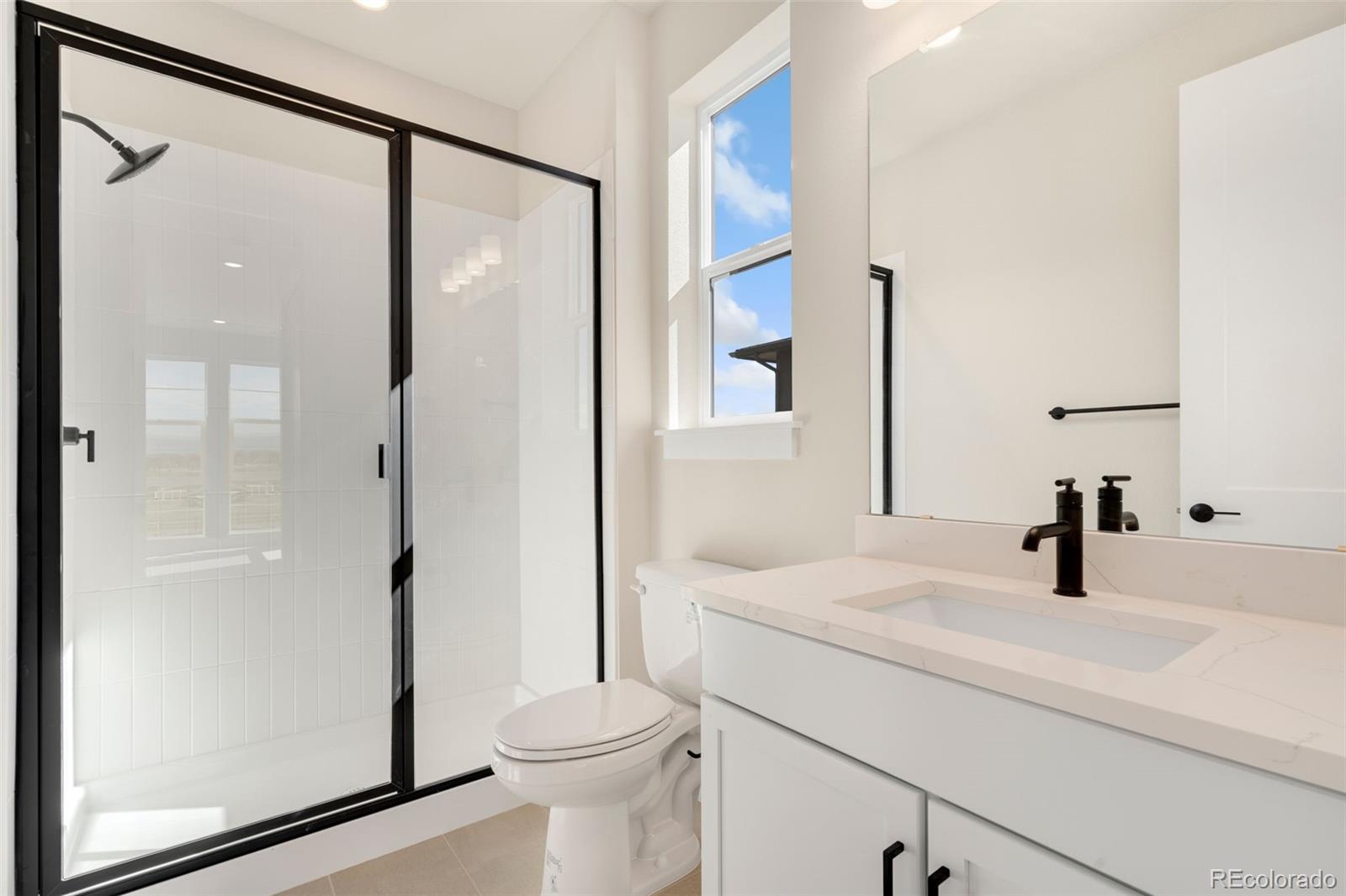 MLS Image #9 for 1284  weller street,timnath, Colorado