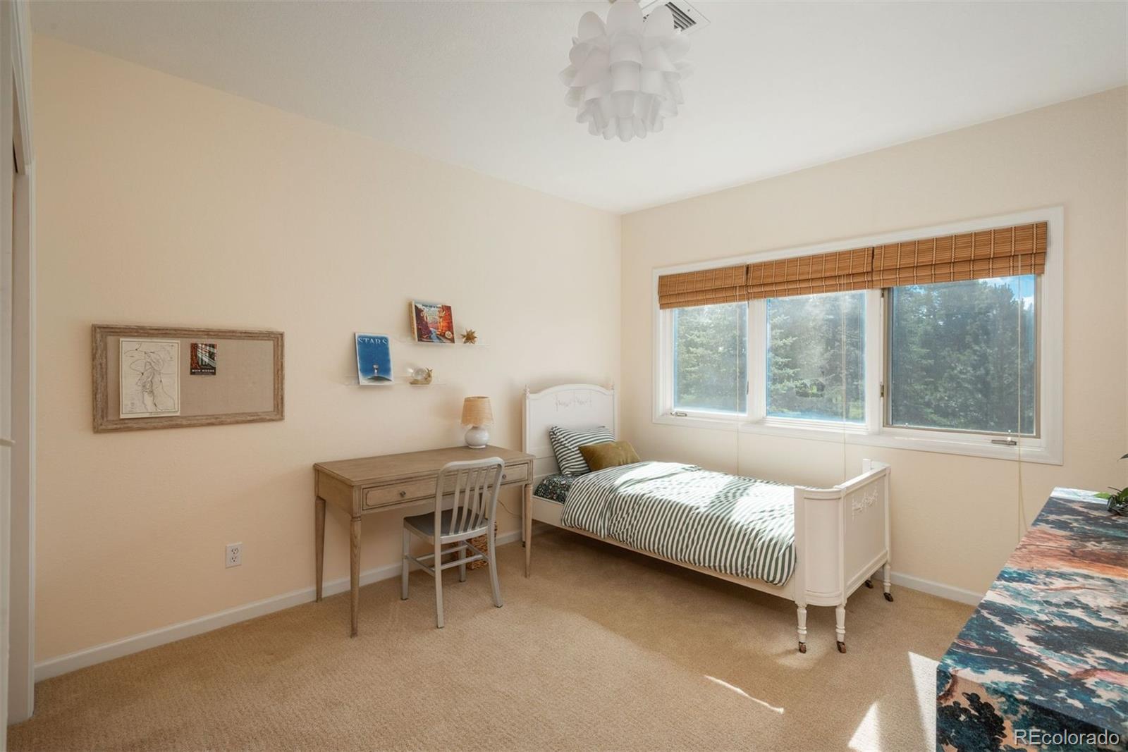 MLS Image #26 for 30480  monarch court,evergreen, Colorado
