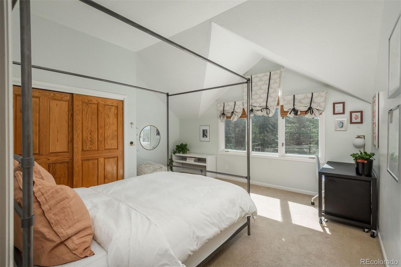 MLS Image #28 for 30480  monarch court,evergreen, Colorado