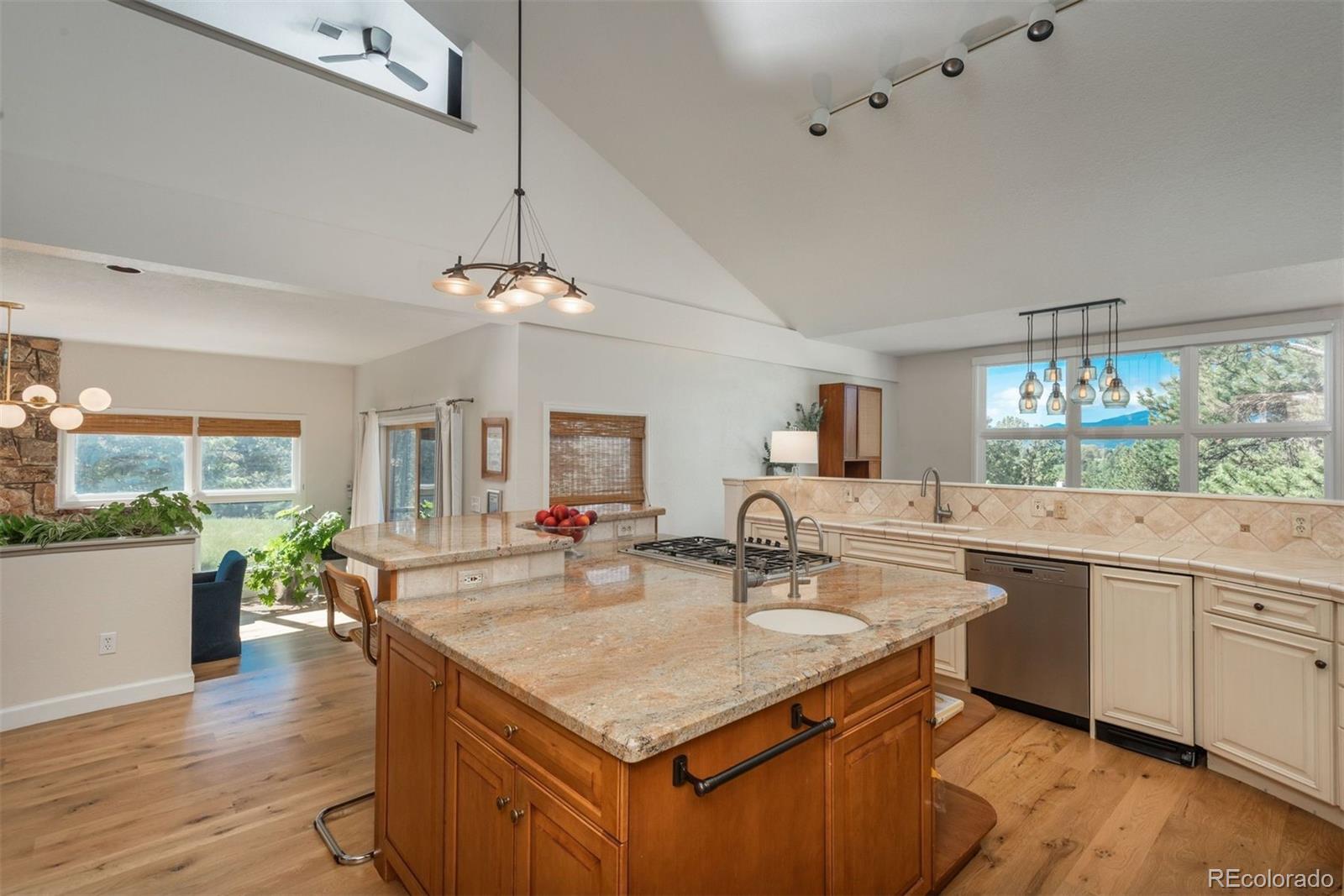 MLS Image #9 for 30480  monarch court,evergreen, Colorado