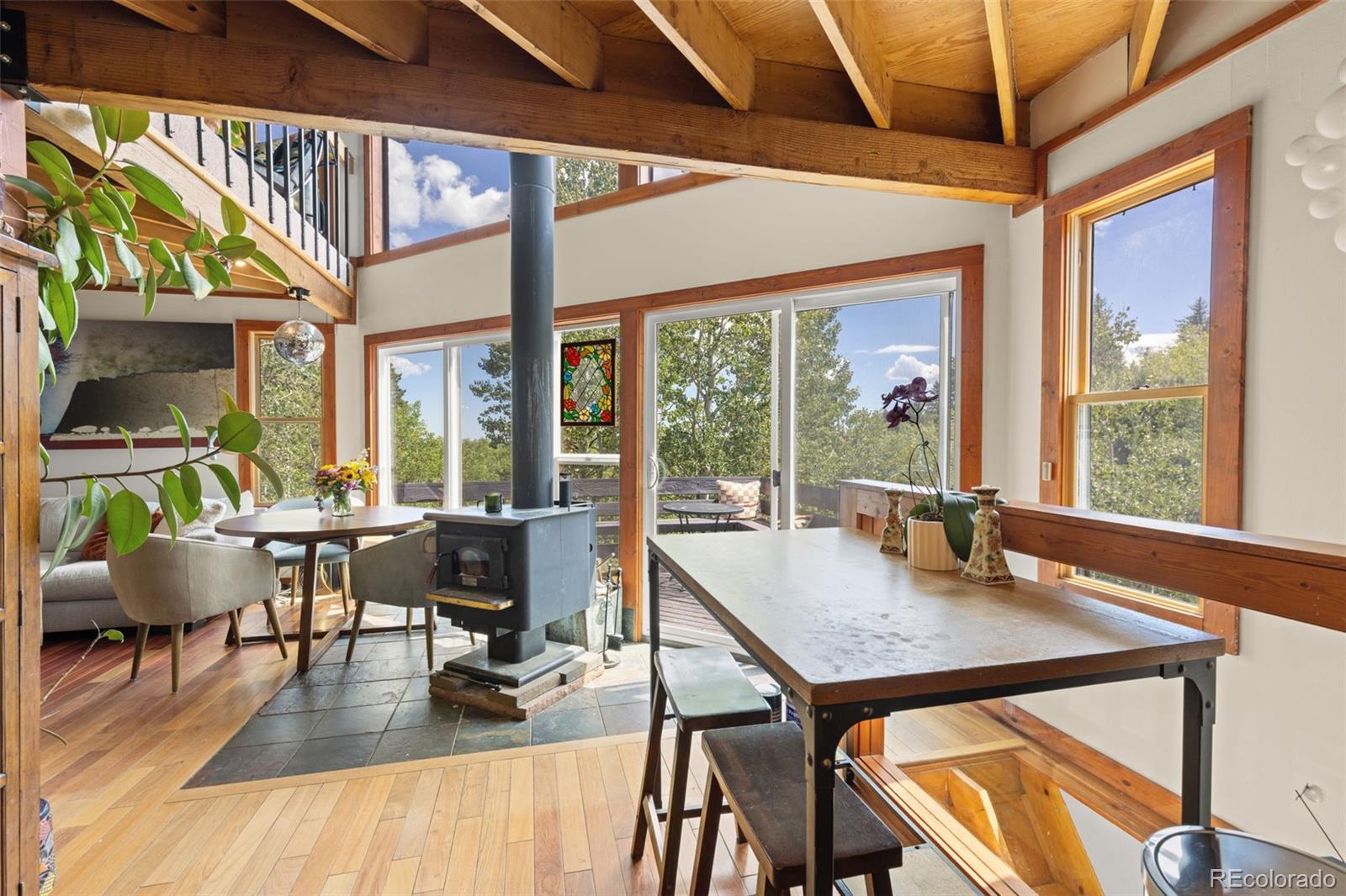 MLS Image #13 for 241  county road 126 ,nederland, Colorado