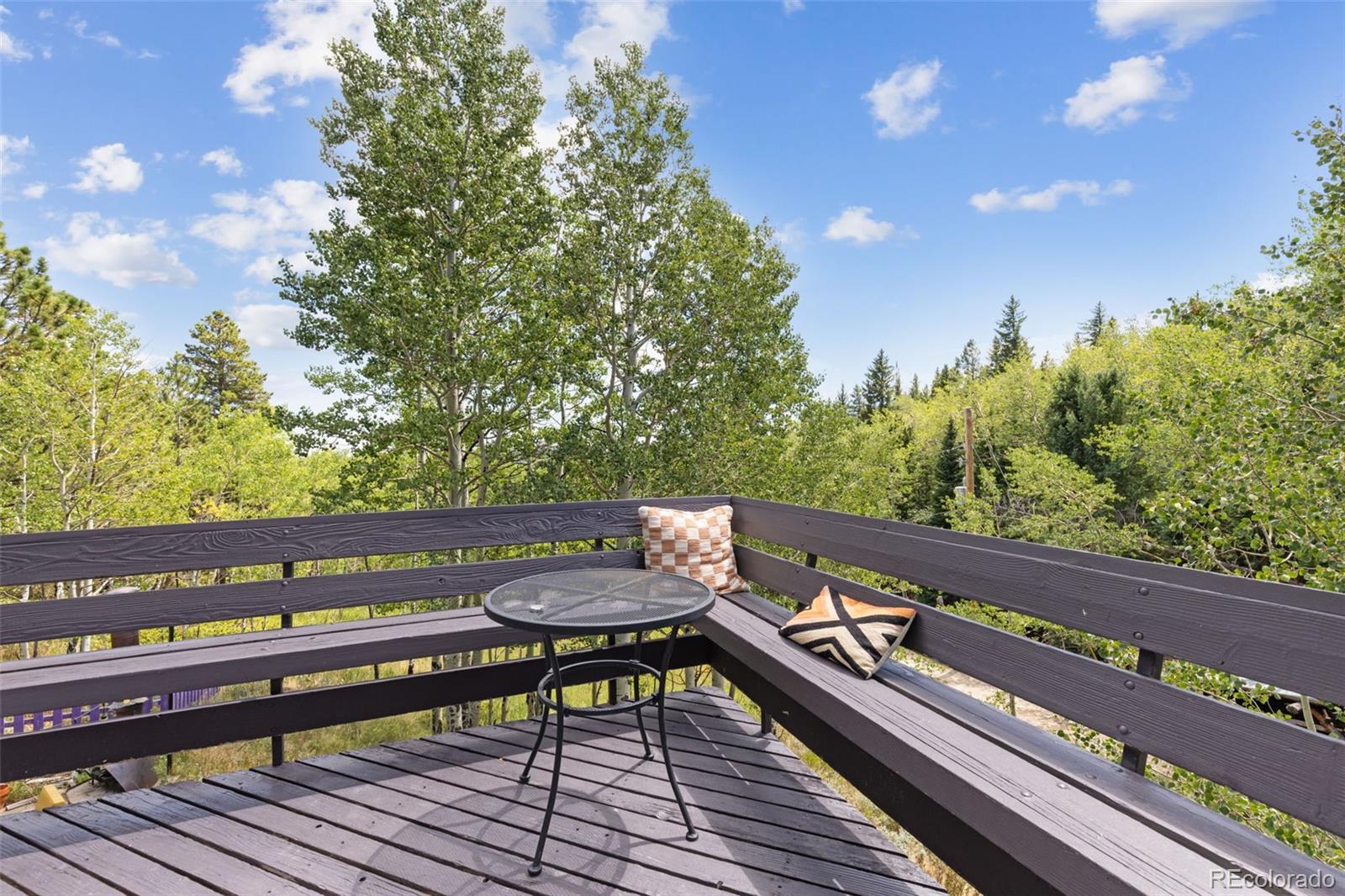 MLS Image #14 for 241  county road 126 ,nederland, Colorado