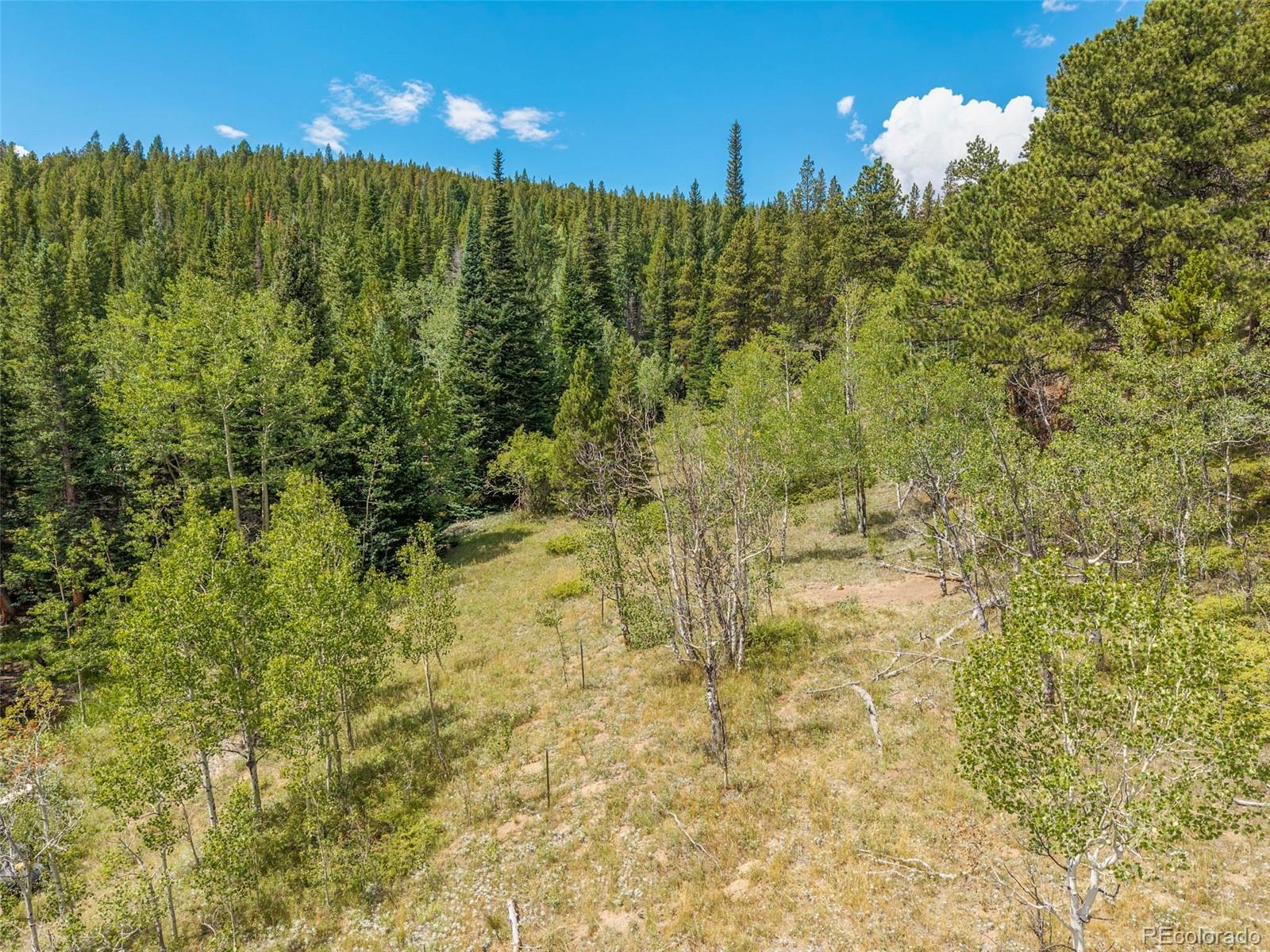 MLS Image #36 for 241  county road 126 ,nederland, Colorado