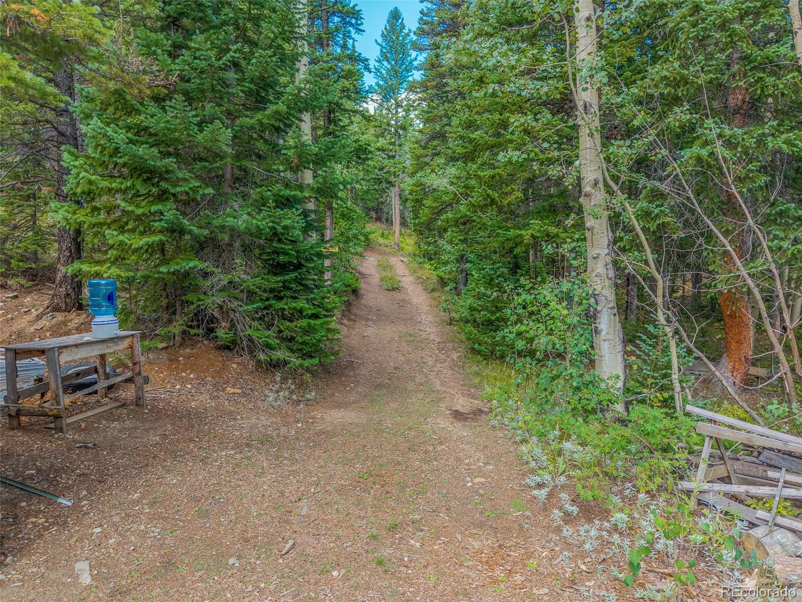 MLS Image #39 for 241  county road 126 ,nederland, Colorado