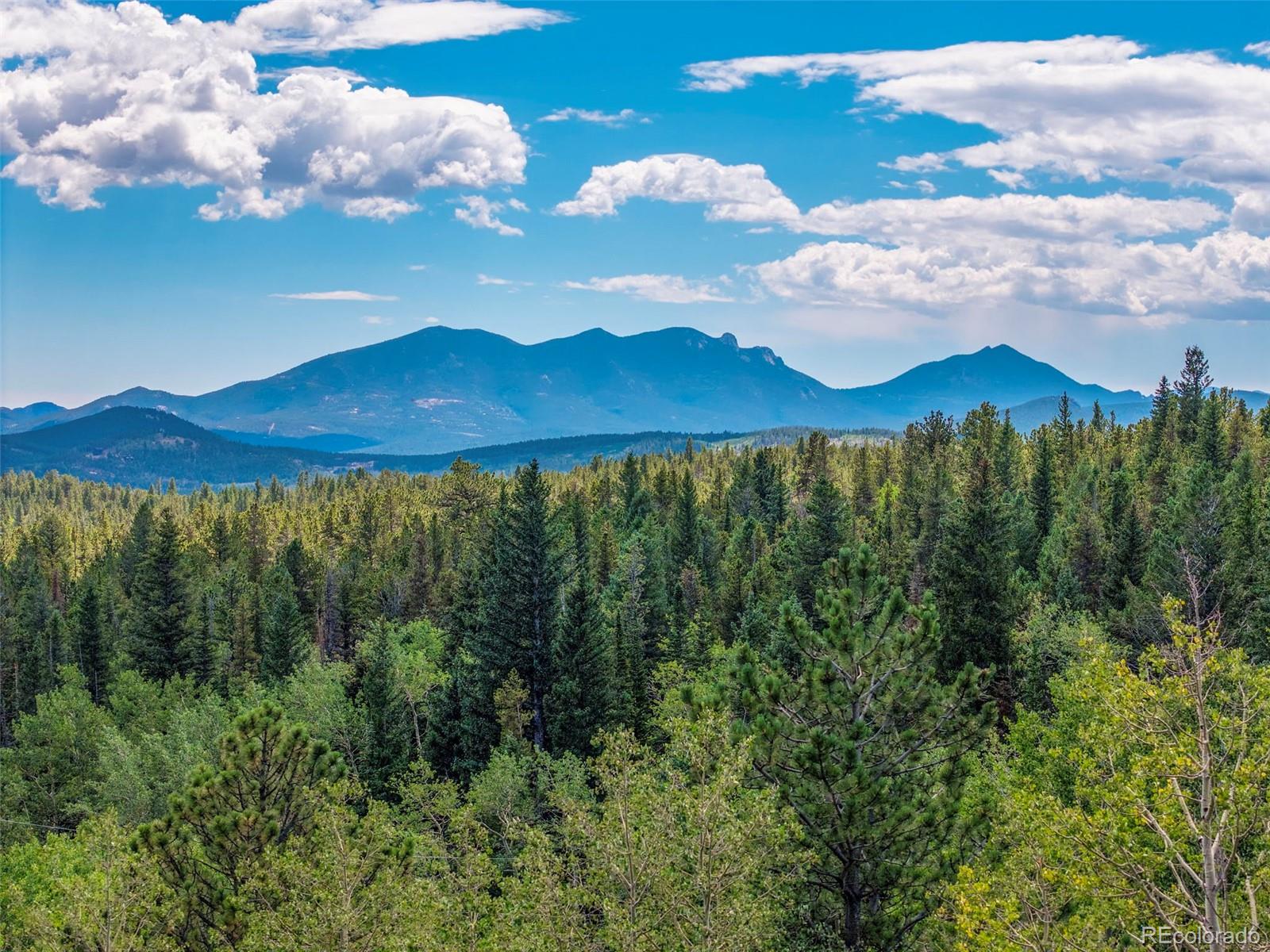 MLS Image #41 for 241  county road 126 ,nederland, Colorado