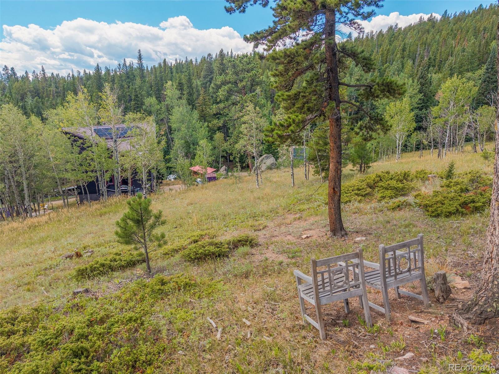 MLS Image #44 for 241  county road 126 ,nederland, Colorado