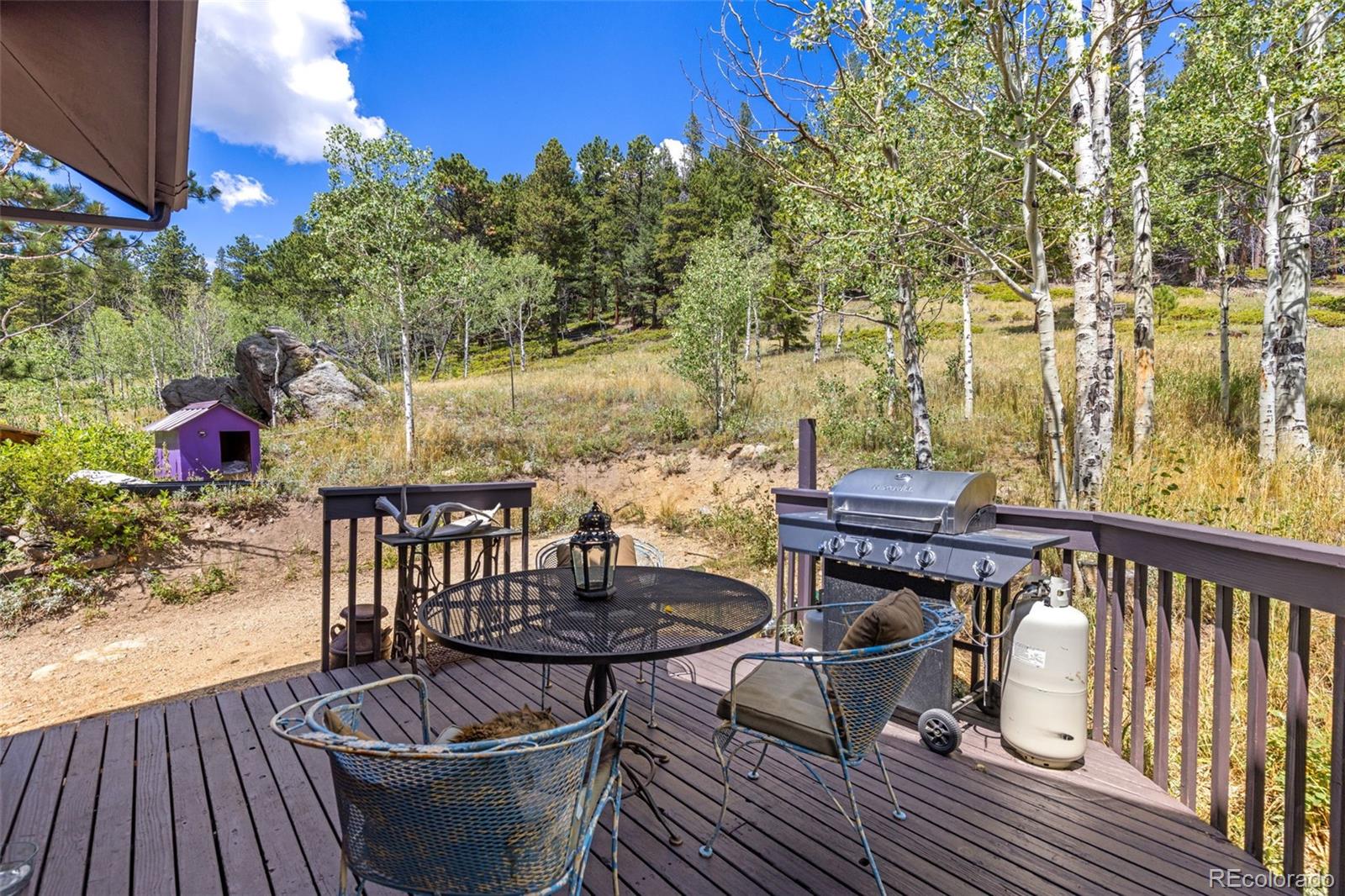 MLS Image #8 for 241  county road 126 ,nederland, Colorado