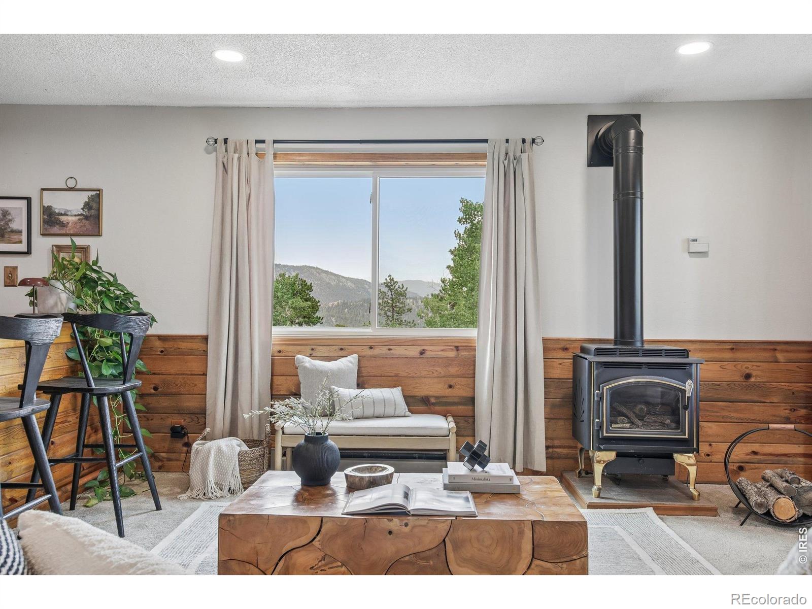 MLS Image #23 for 278  overlook drive,bailey, Colorado