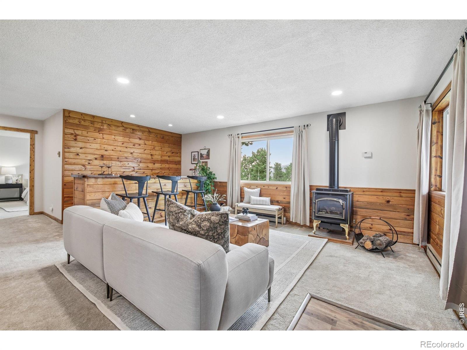 MLS Image #24 for 278  overlook drive,bailey, Colorado