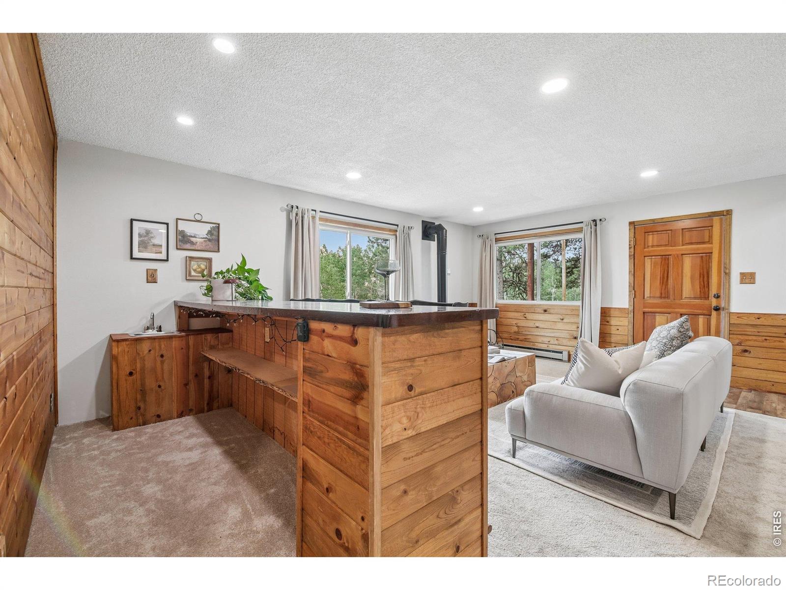 MLS Image #27 for 278  overlook drive,bailey, Colorado