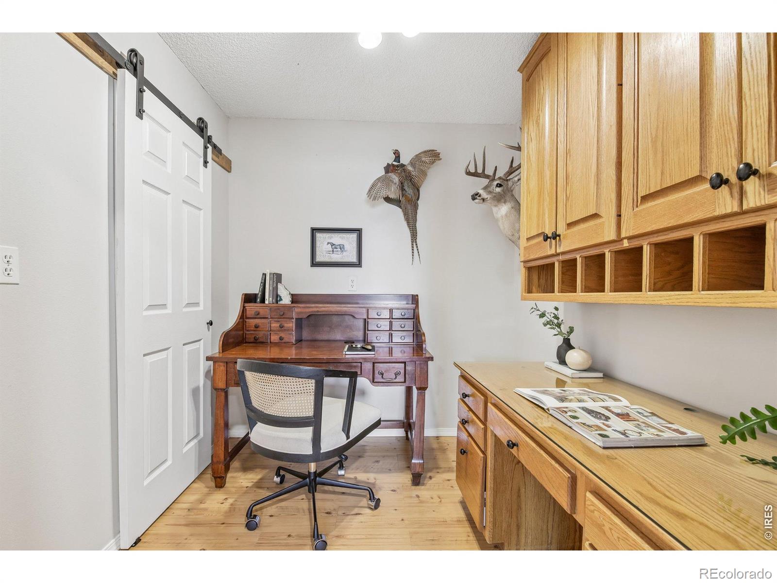 MLS Image #28 for 278  overlook drive,bailey, Colorado