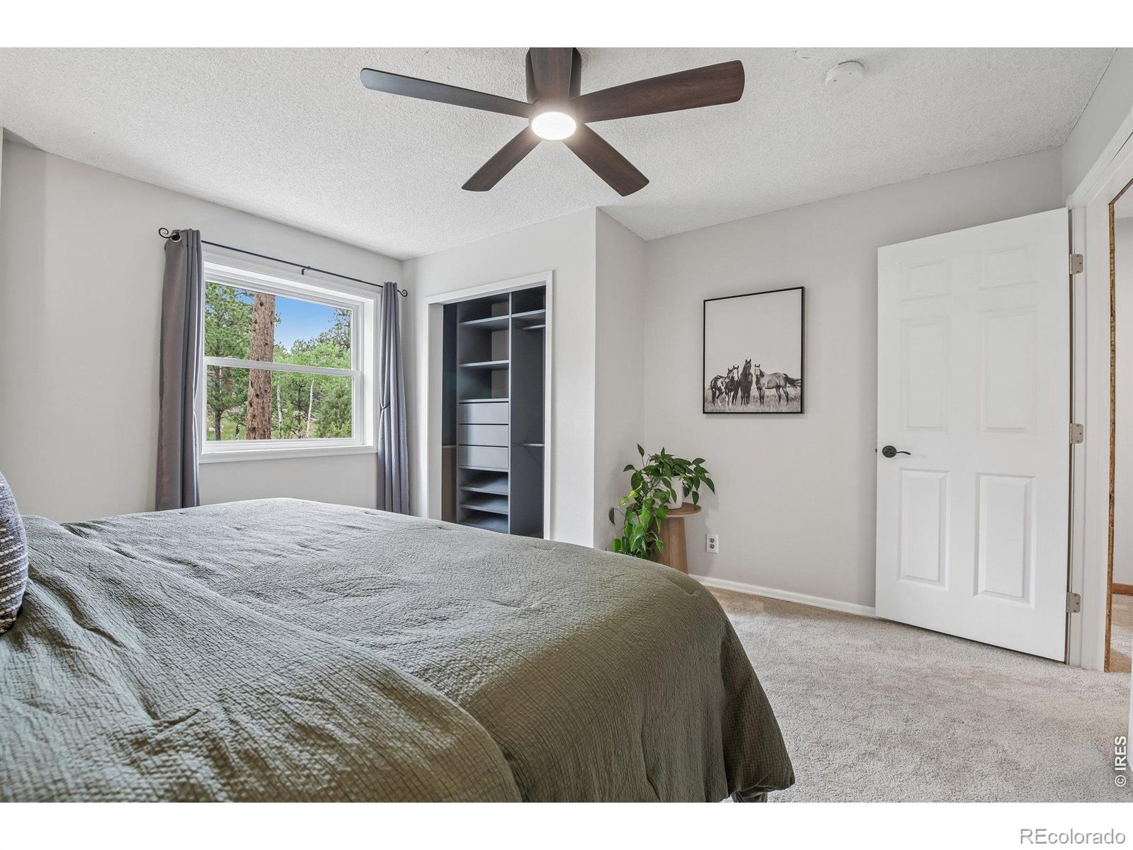 MLS Image #30 for 278  overlook drive,bailey, Colorado
