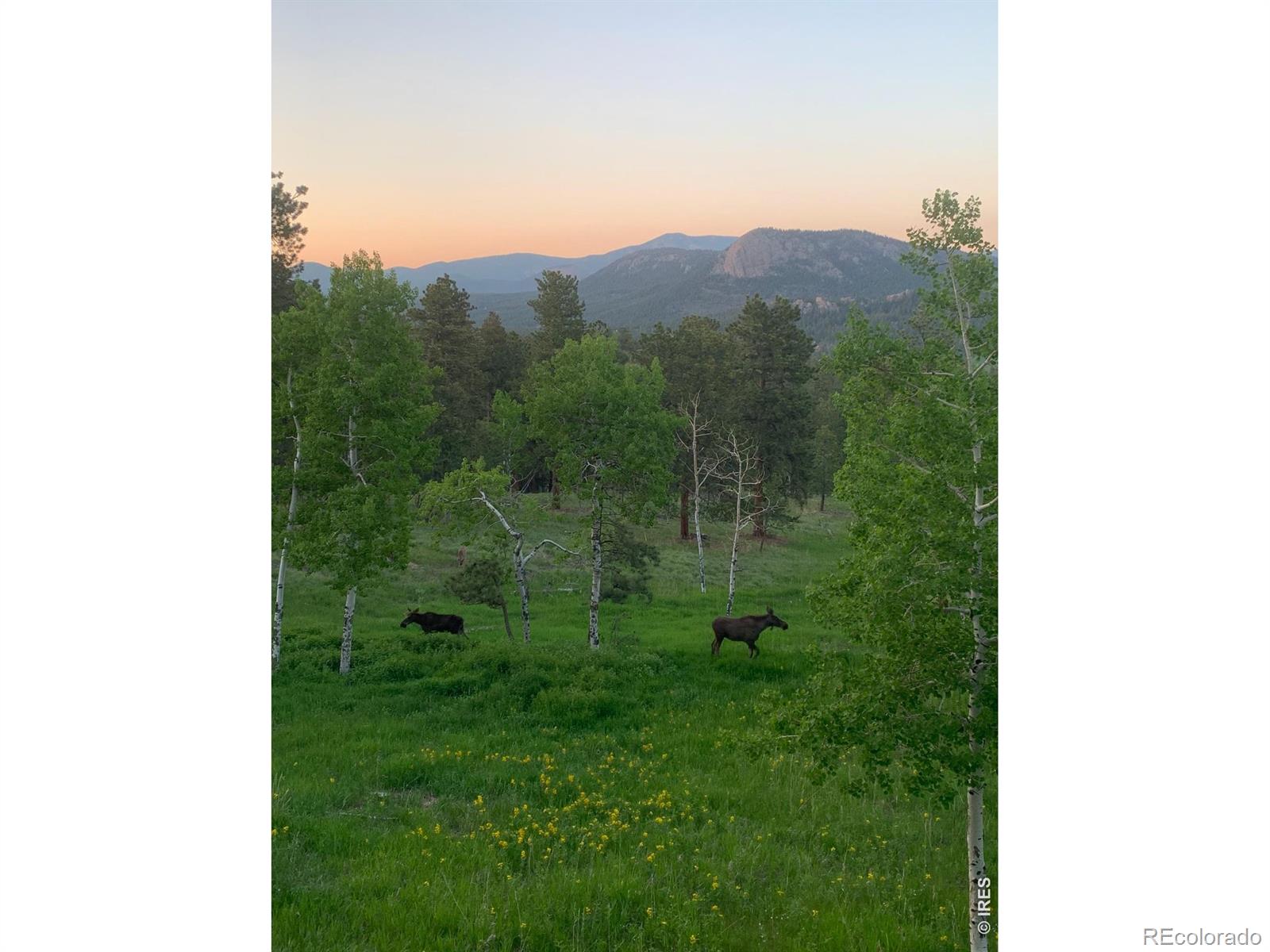MLS Image #38 for 278  overlook drive,bailey, Colorado