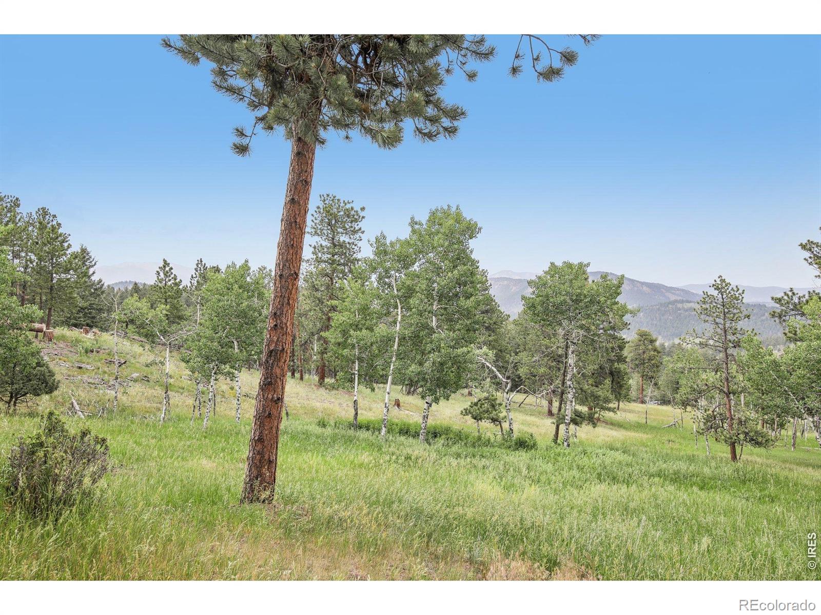 MLS Image #39 for 278  overlook drive,bailey, Colorado