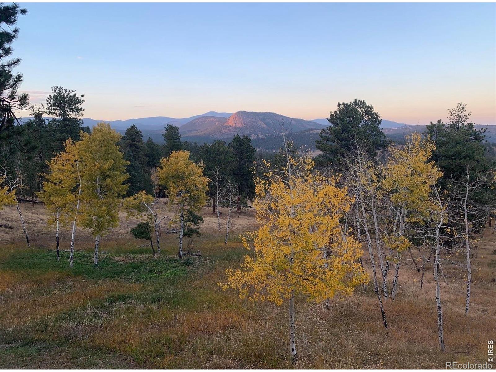MLS Image #41 for 278  overlook drive,bailey, Colorado