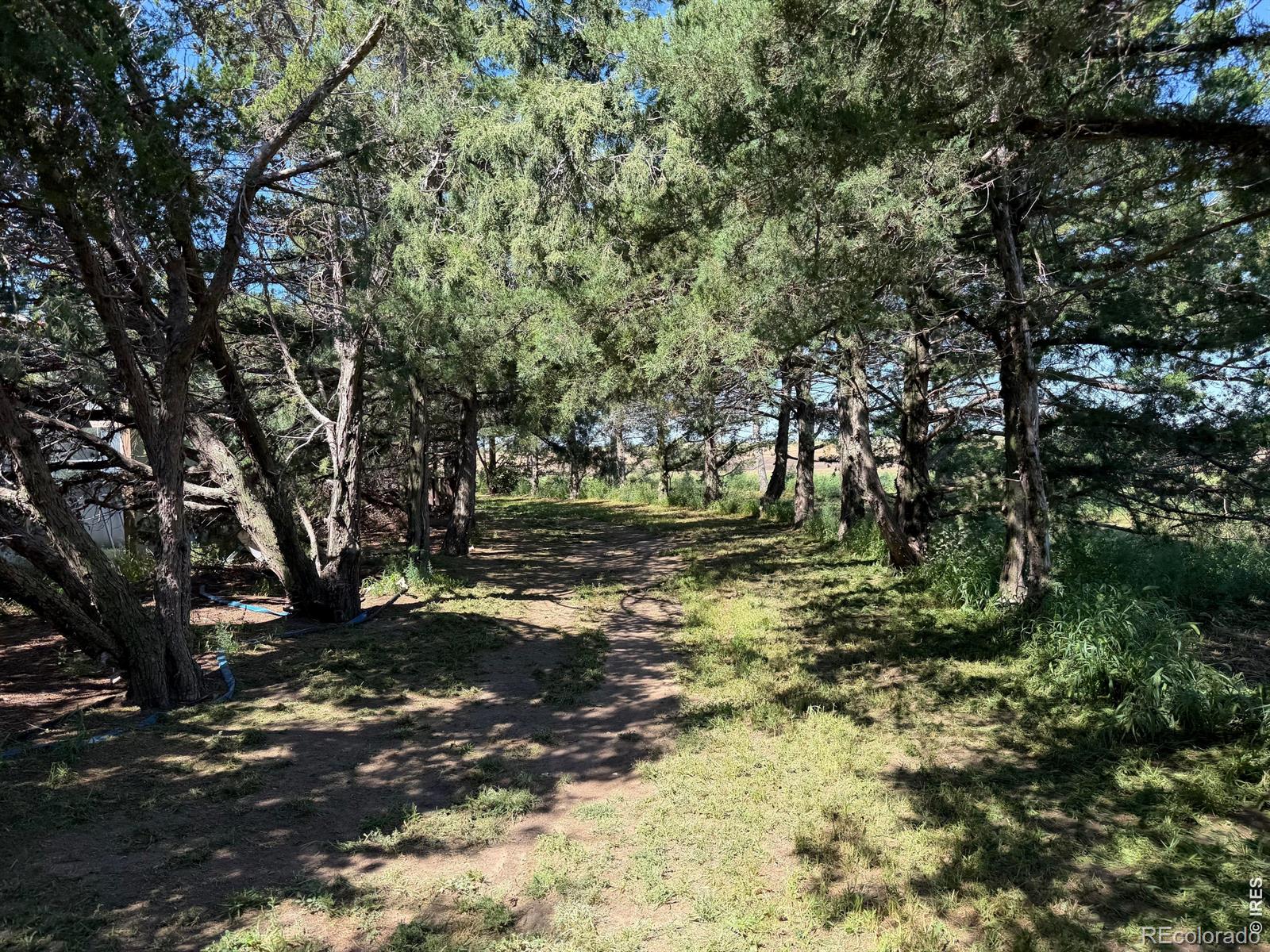 MLS Image #33 for 7525  county road m ,kirk, Colorado