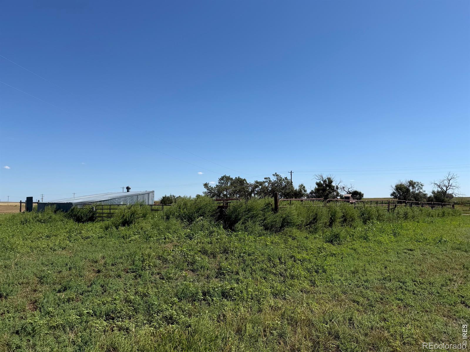 MLS Image #34 for 7525  county road m ,kirk, Colorado