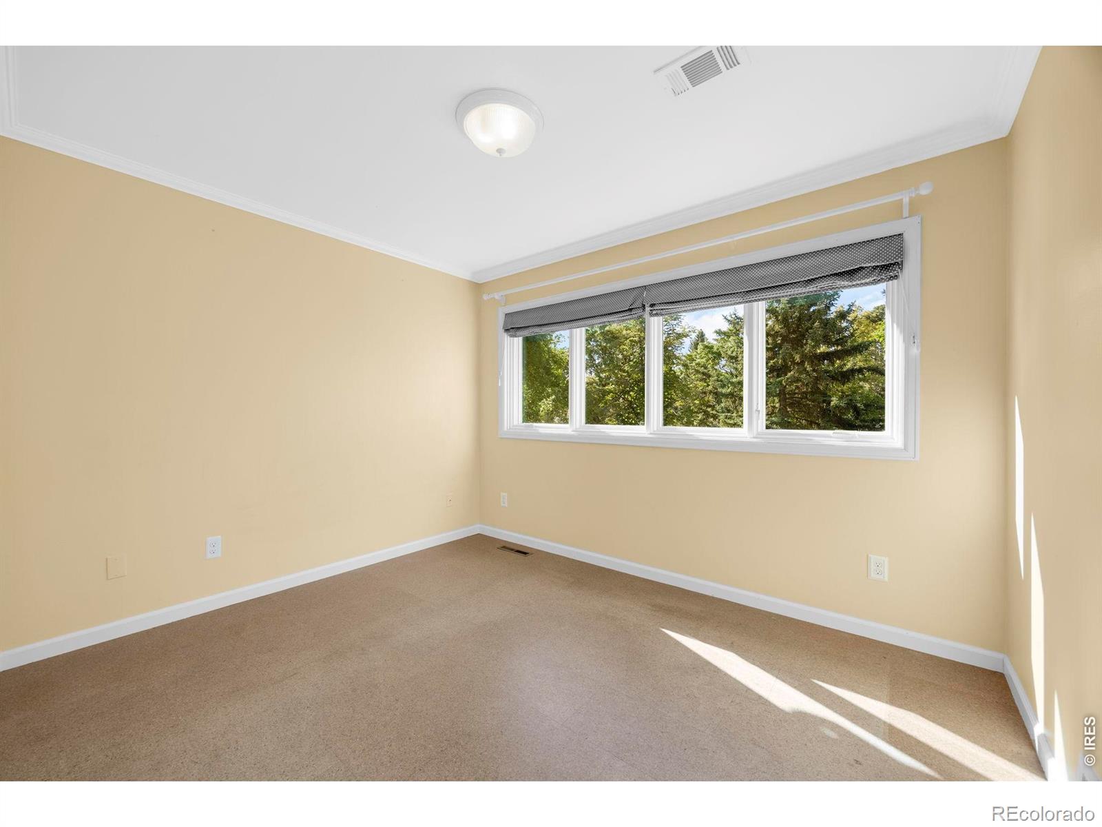 MLS Image #17 for 501  sanddollar court,fort collins, Colorado