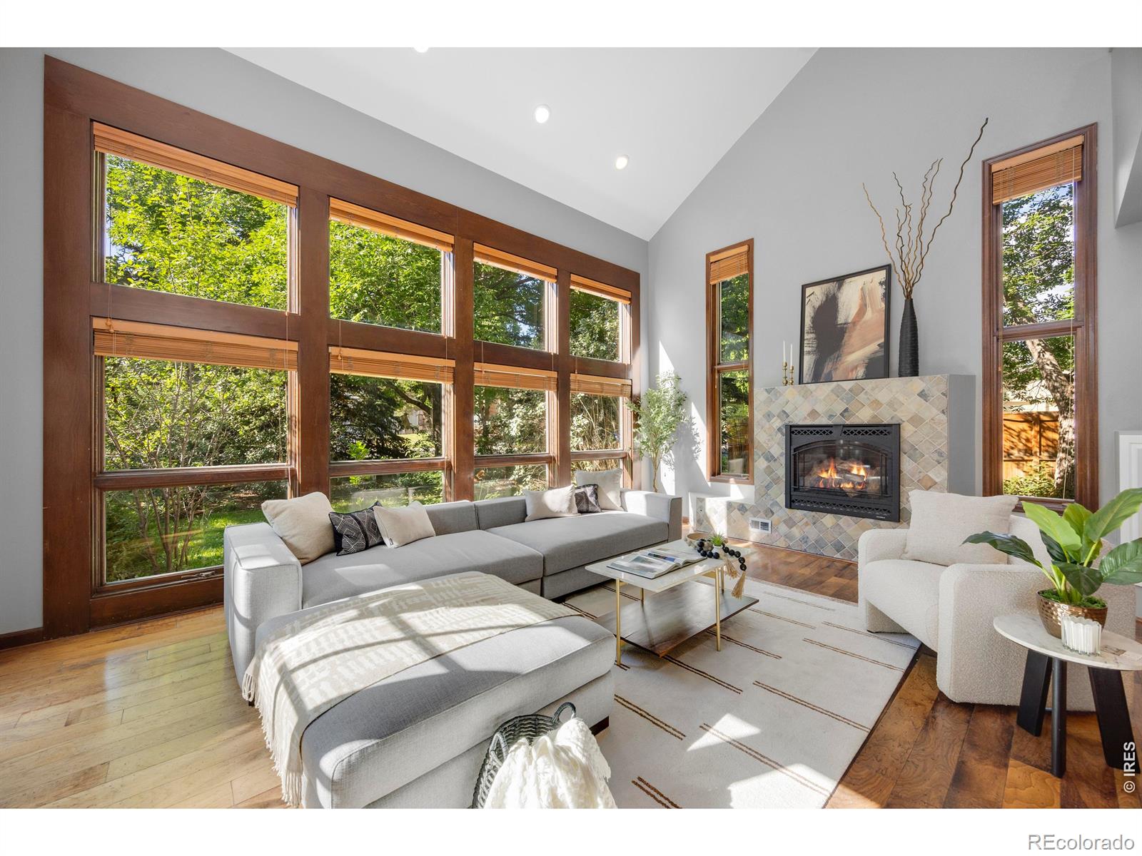MLS Image #3 for 501  sanddollar court,fort collins, Colorado