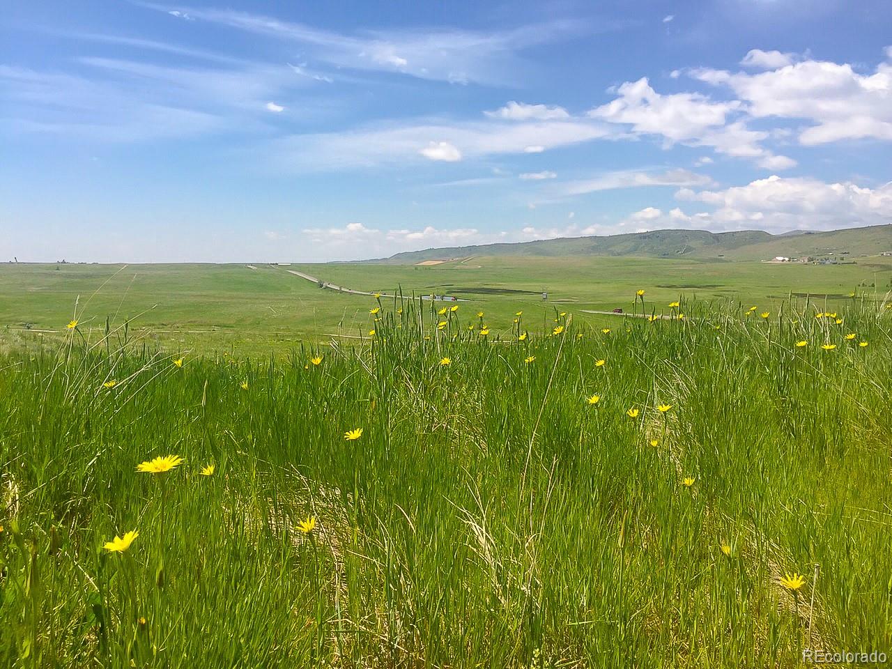 MLS Image #48 for 4833  prairie vista drive,fort collins, Colorado