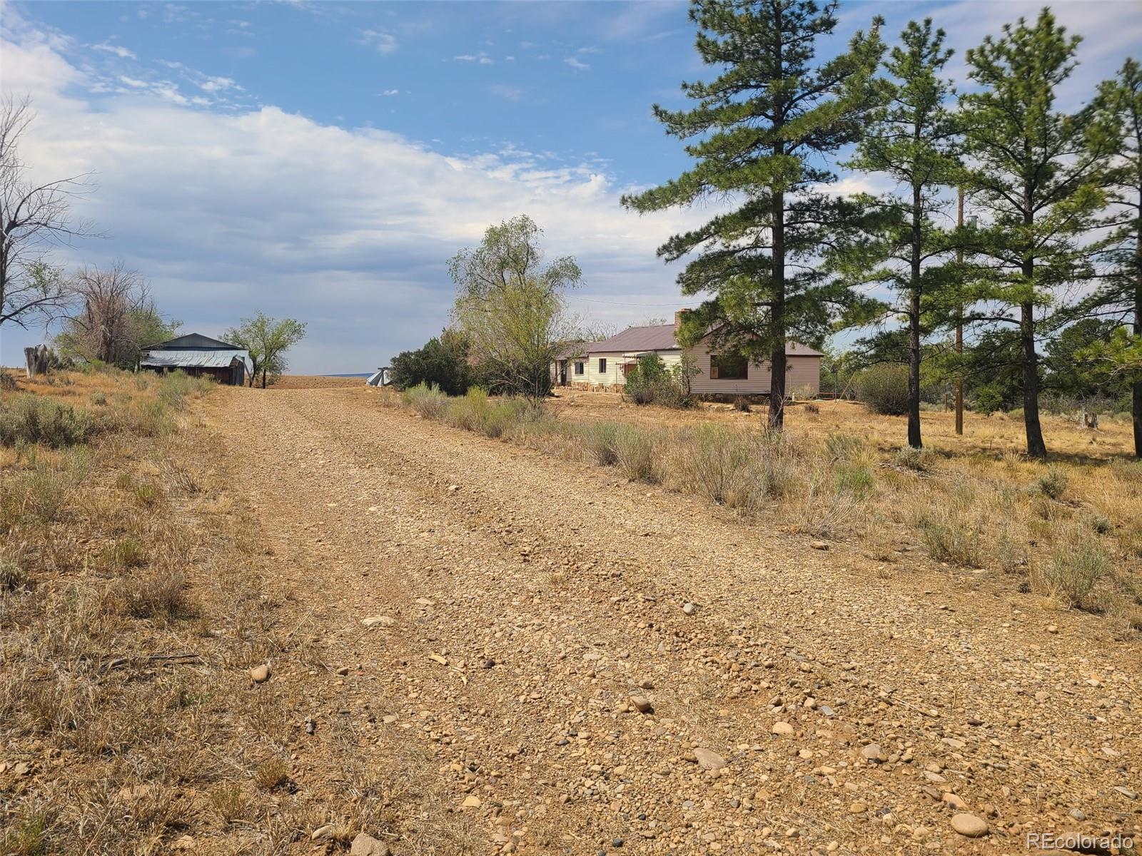 MLS Image #4 for 1256  county road 116 ,hesperus, Colorado