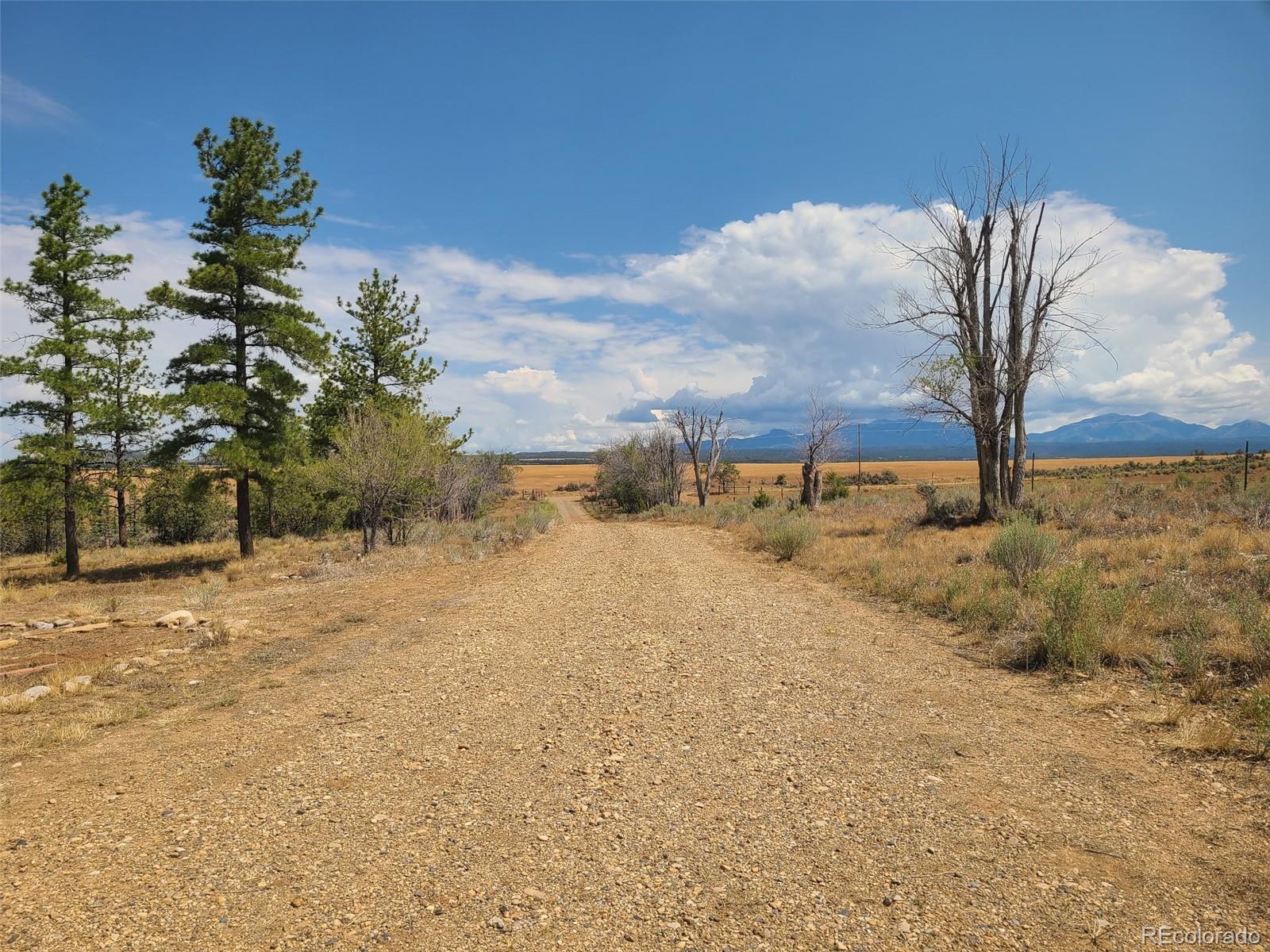 MLS Image #5 for 1256  county road 116 ,hesperus, Colorado